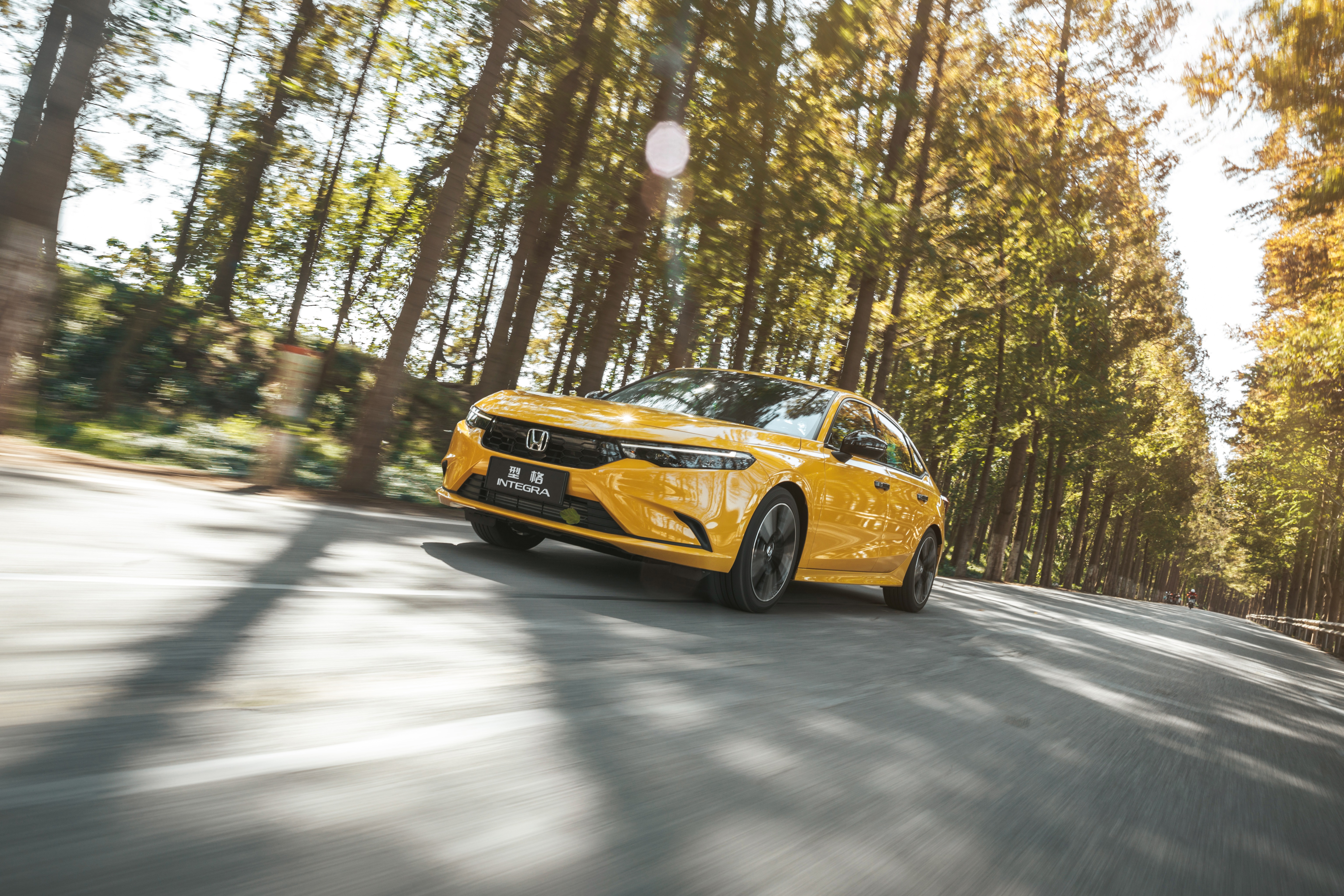 Yellow Honda Integra driving on a tree-lined road HD Wallpaper