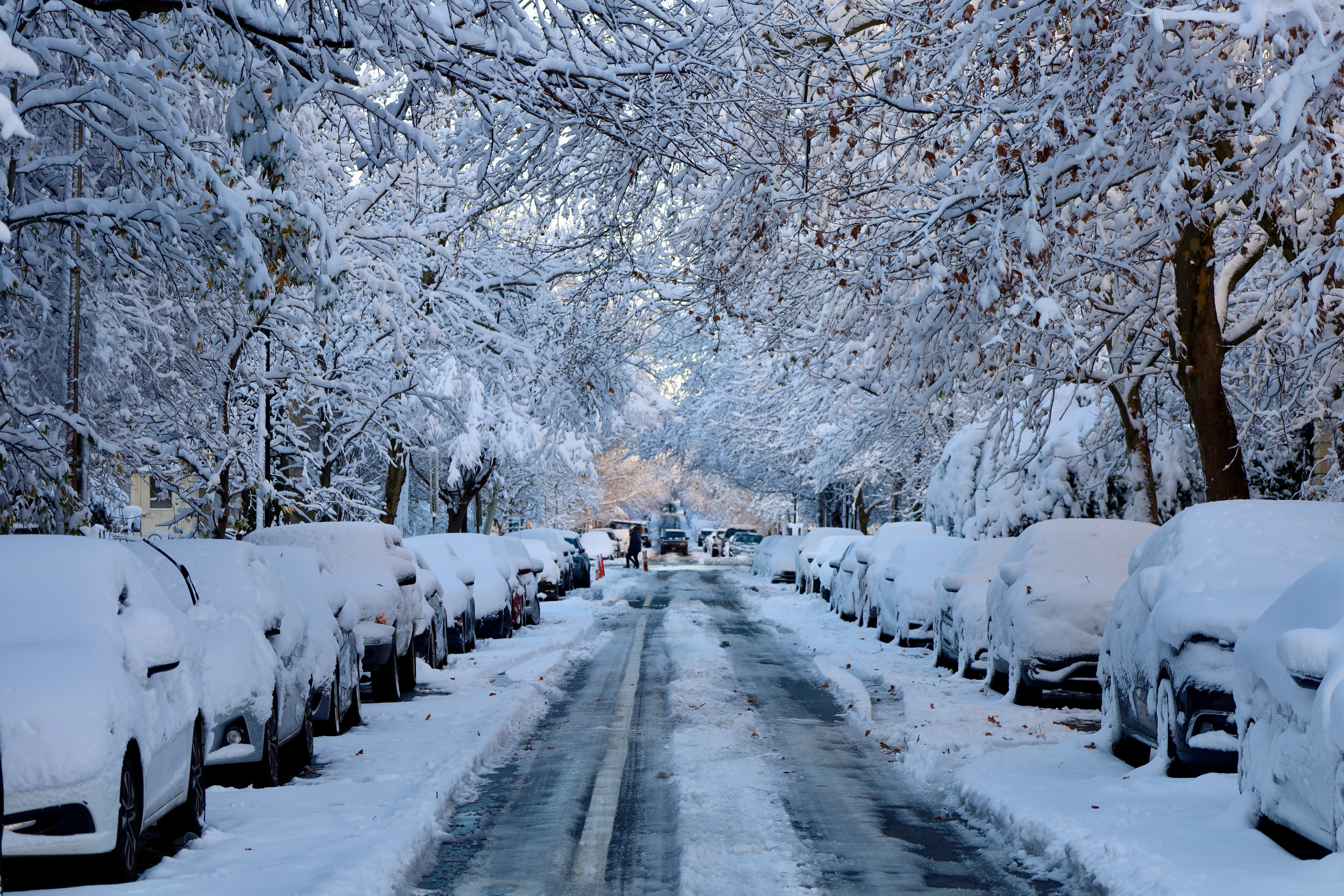 Street covered in snow with parked cars and trees HD Wallpaper