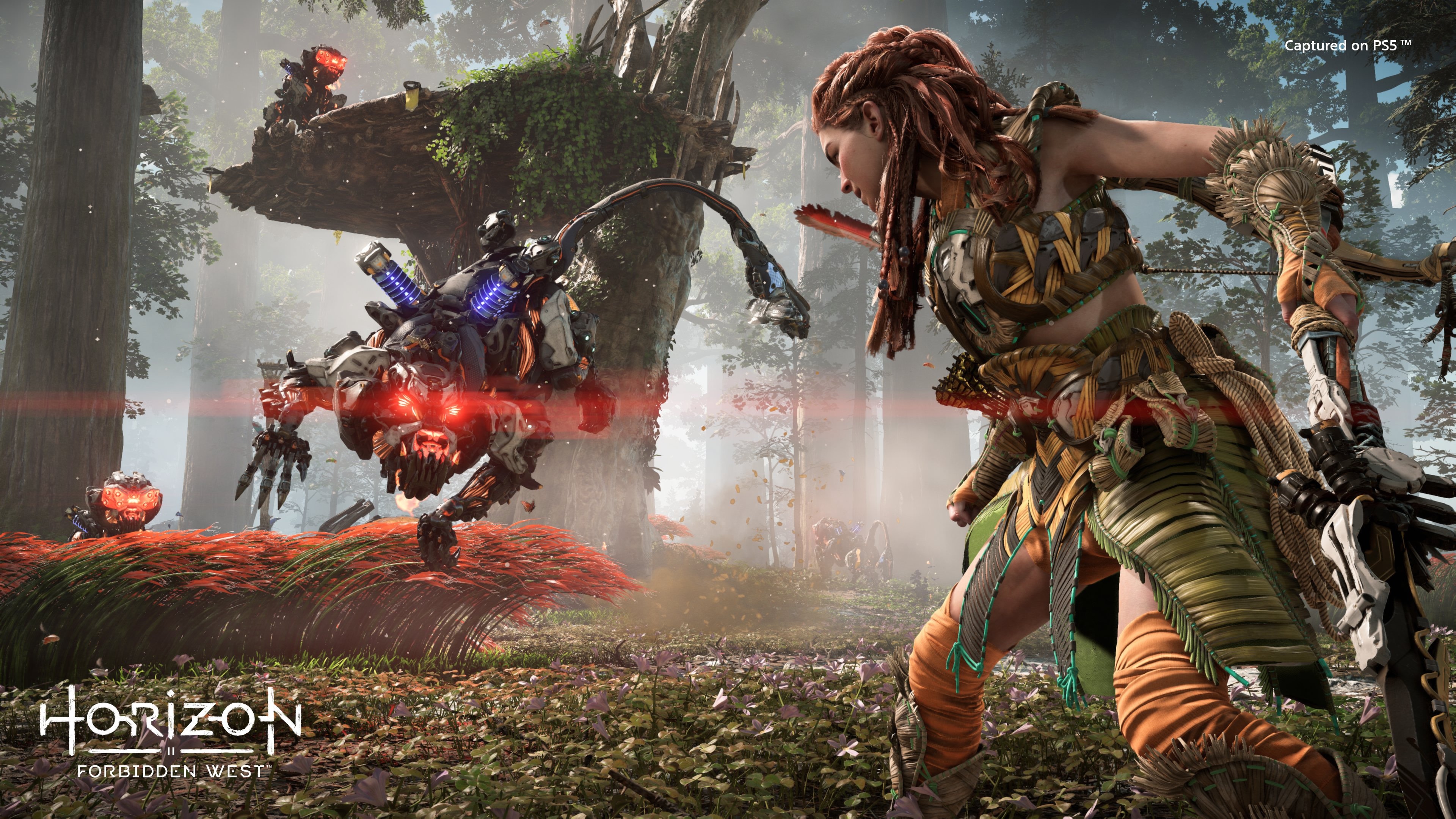 Aloy from Horizon Forbidden West 4K HD Wallpaper