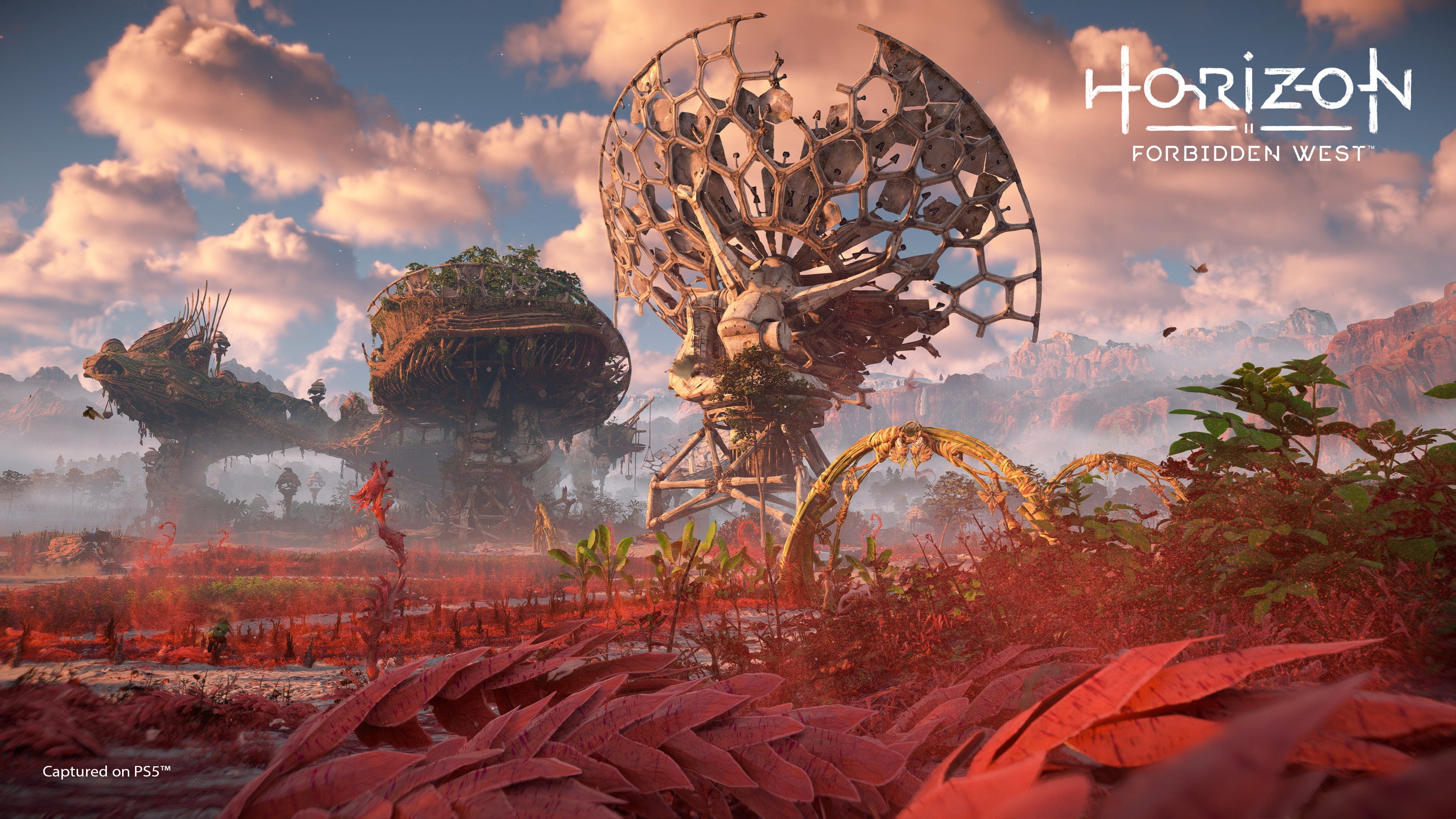 Horizon Forbidden West HD Wallpaper