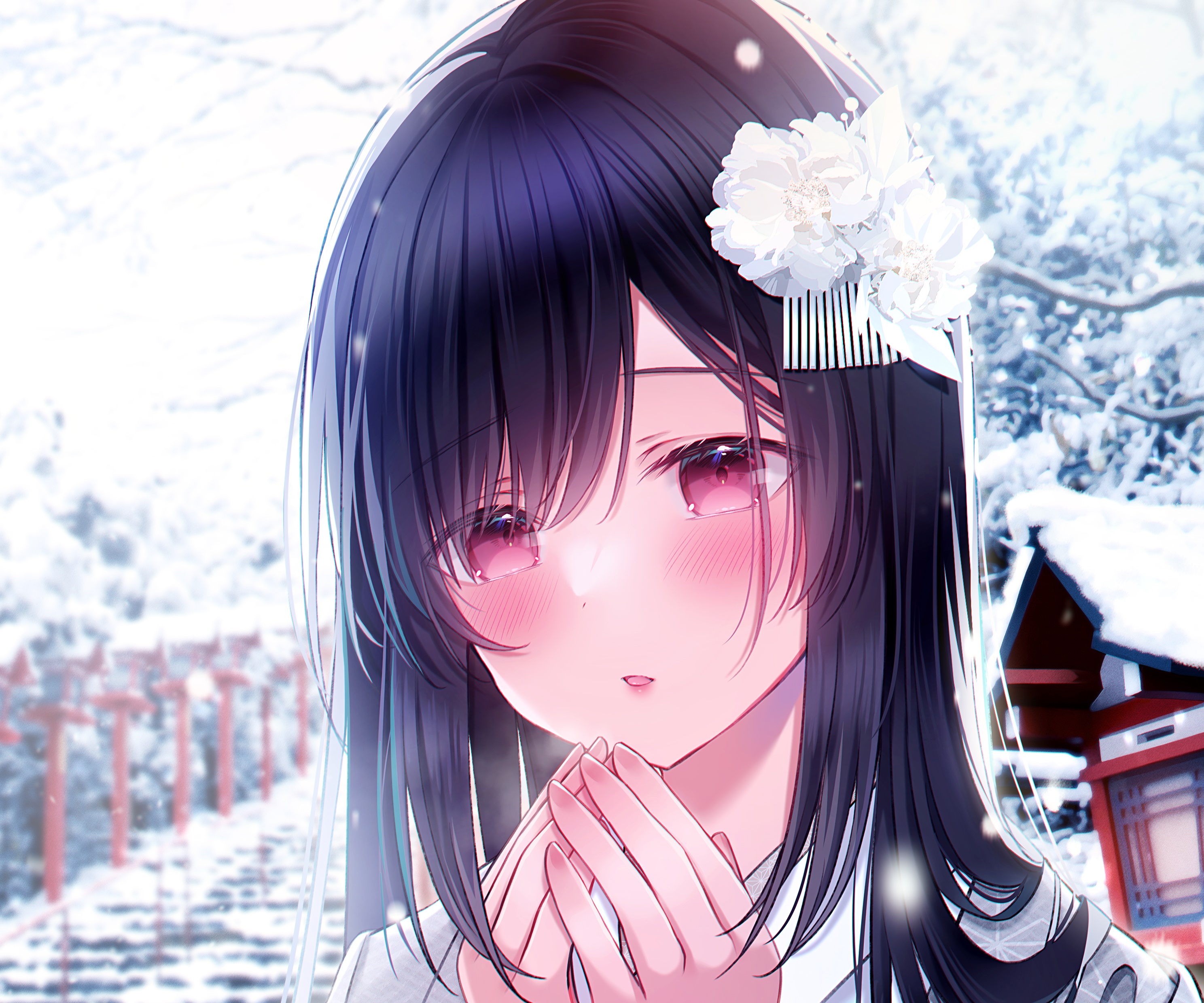 Anime girl with dark hair and pink eyes in winter HD Wallpaper