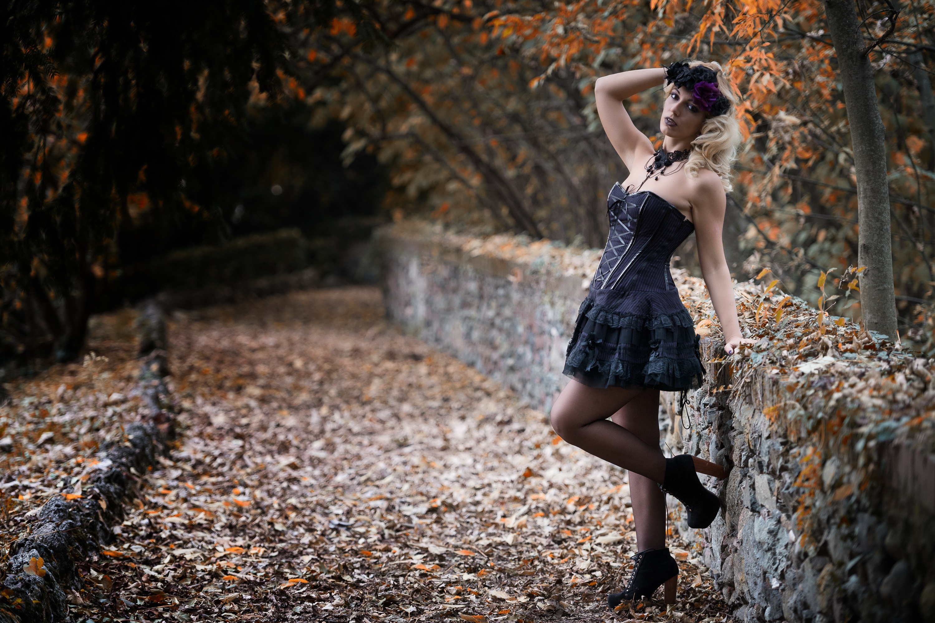 Model in Elegant Black Dress on Autumn Path HD Wallpaper