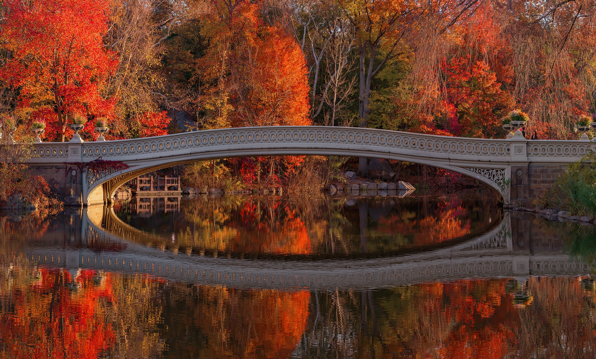Bow Bridge in Central Park during Autumn HD Wallpaper