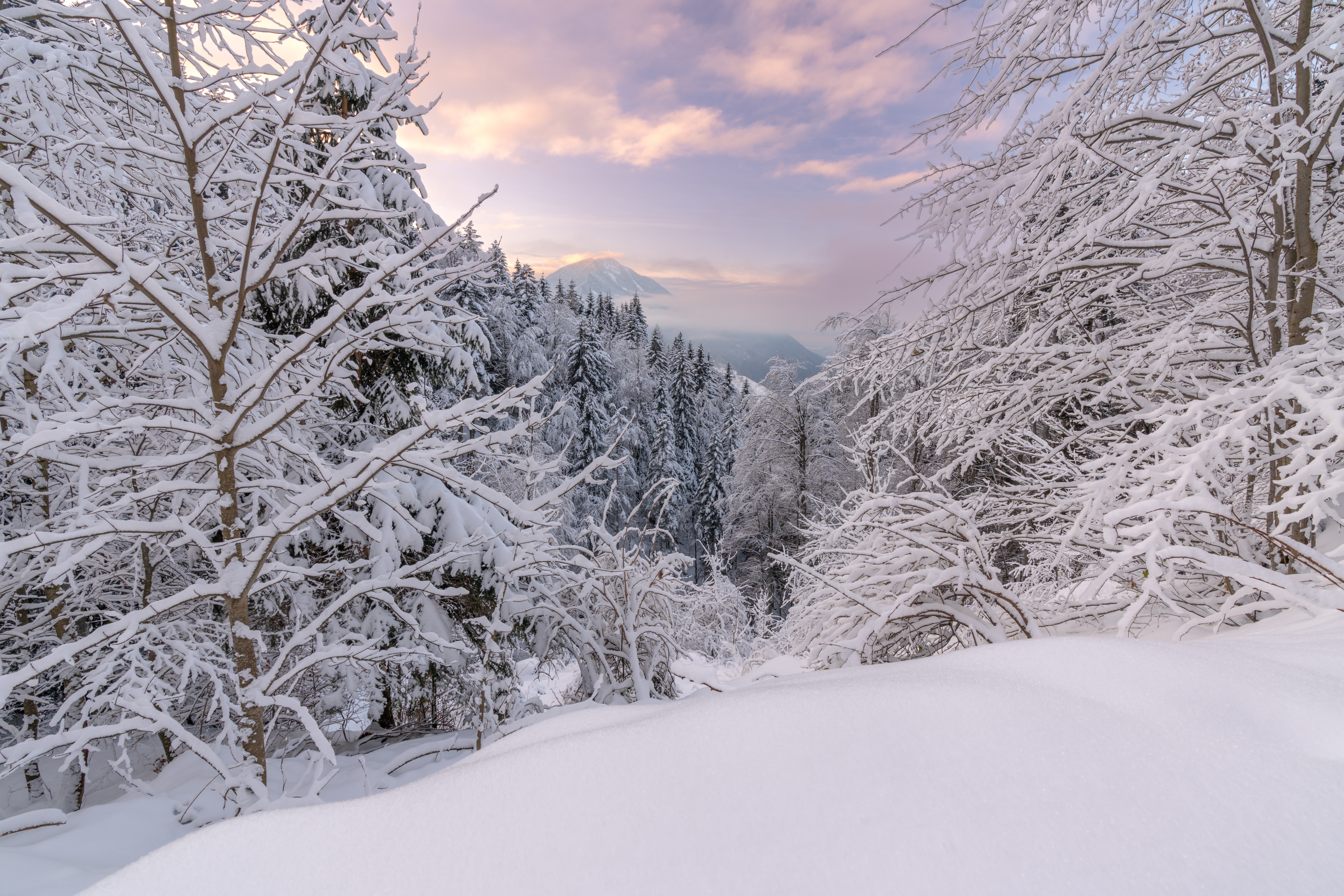 Snowy forest landscape with mountain peak at sunrise HD Wallpaper