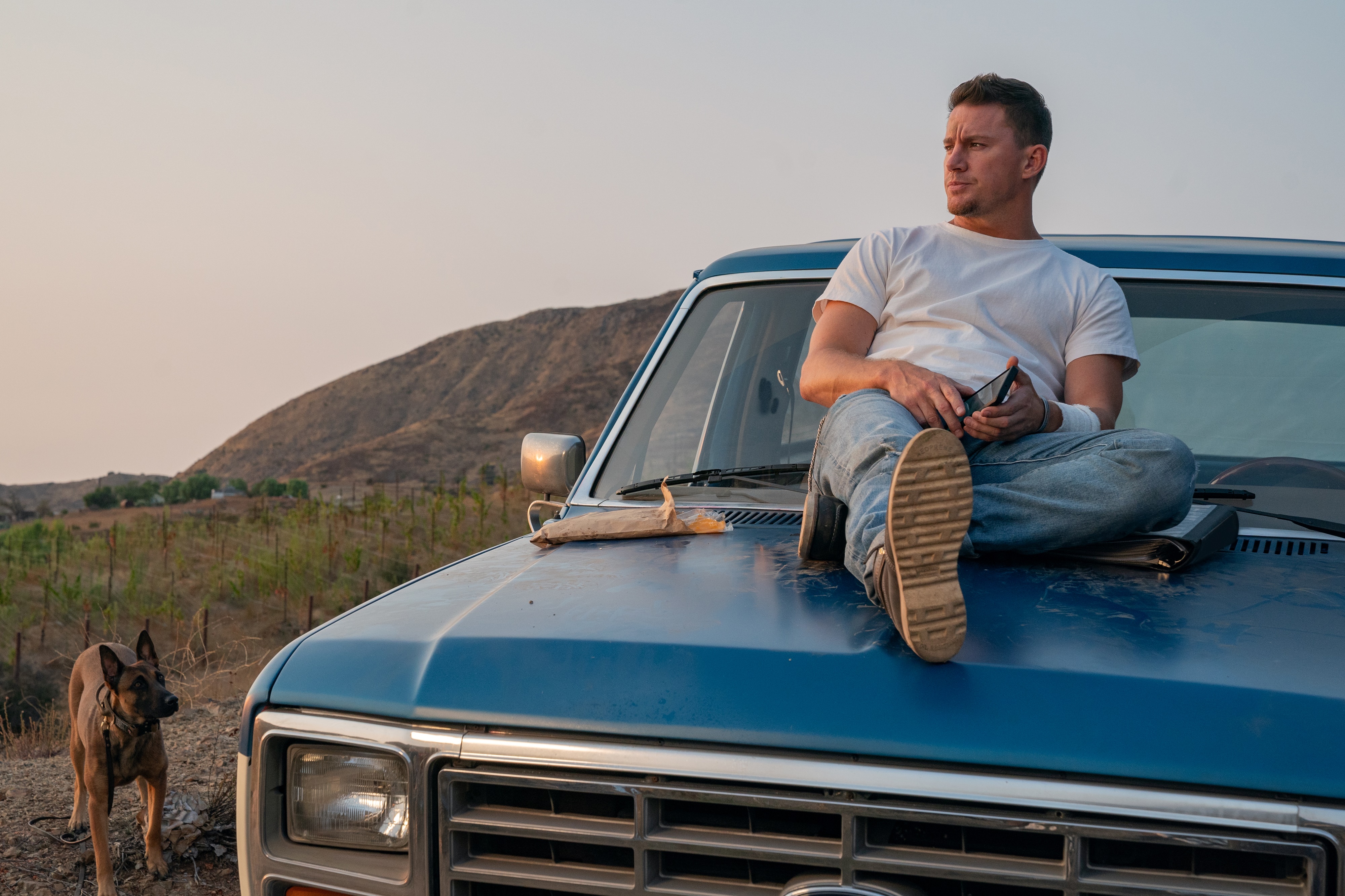 Channing Tatum and dog on a truck HD Wallpaper