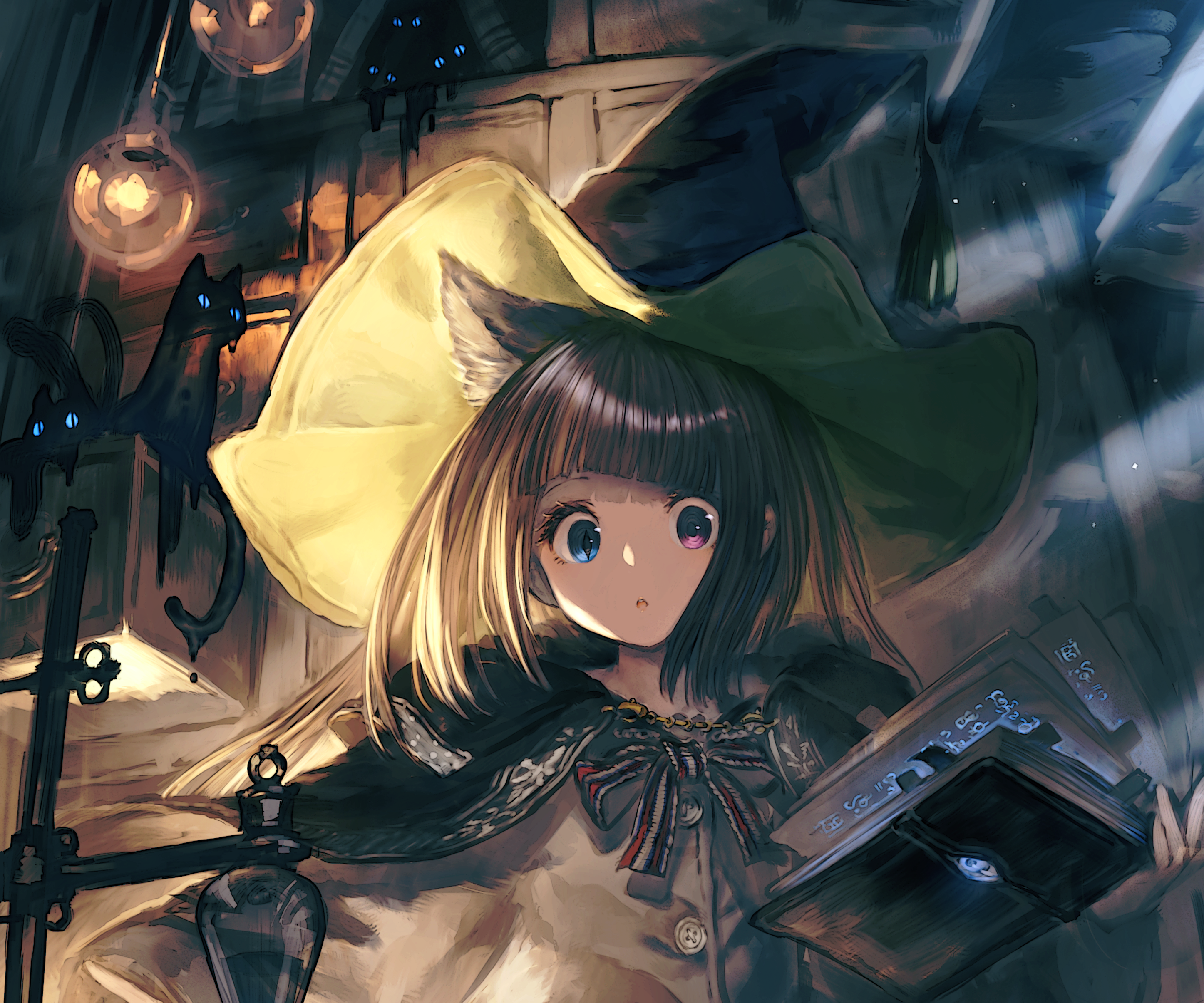 Girl with heterochromia and cat ears reading a book HD Wallpaper