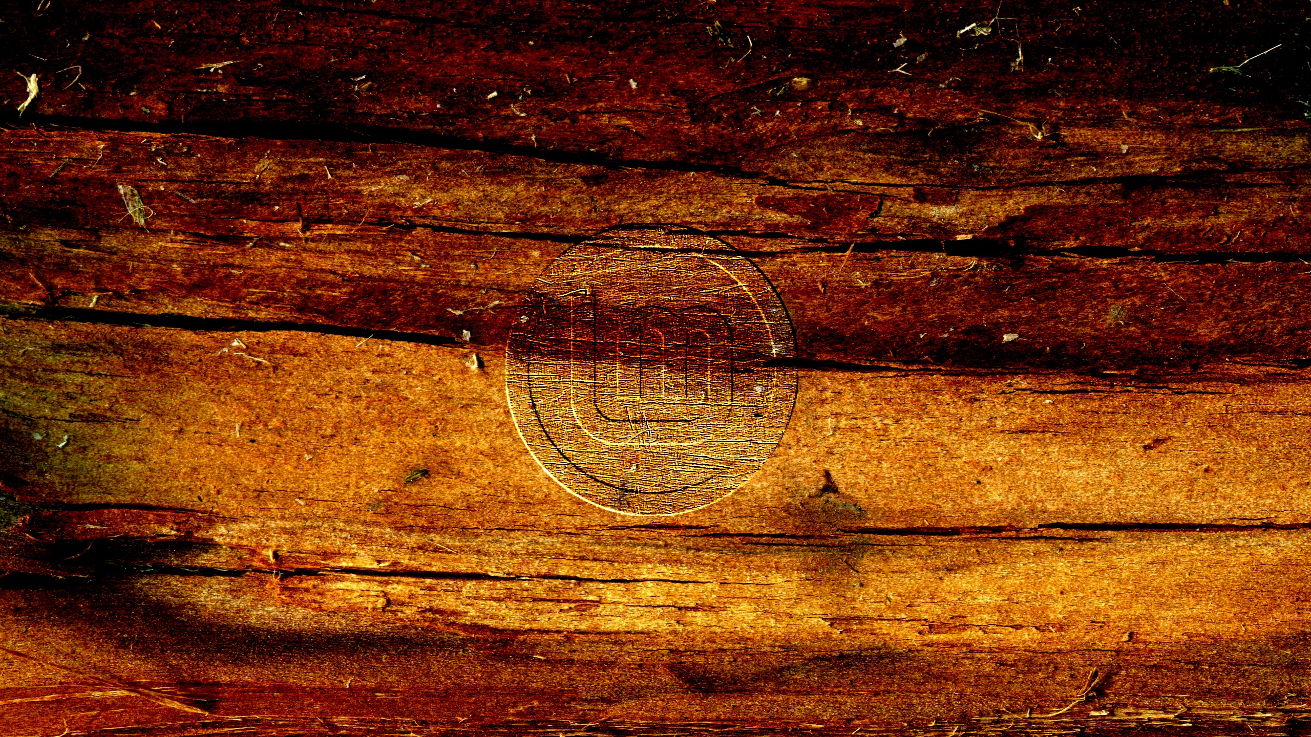 Linux Mint logo on wood texture HD Wallpaper
