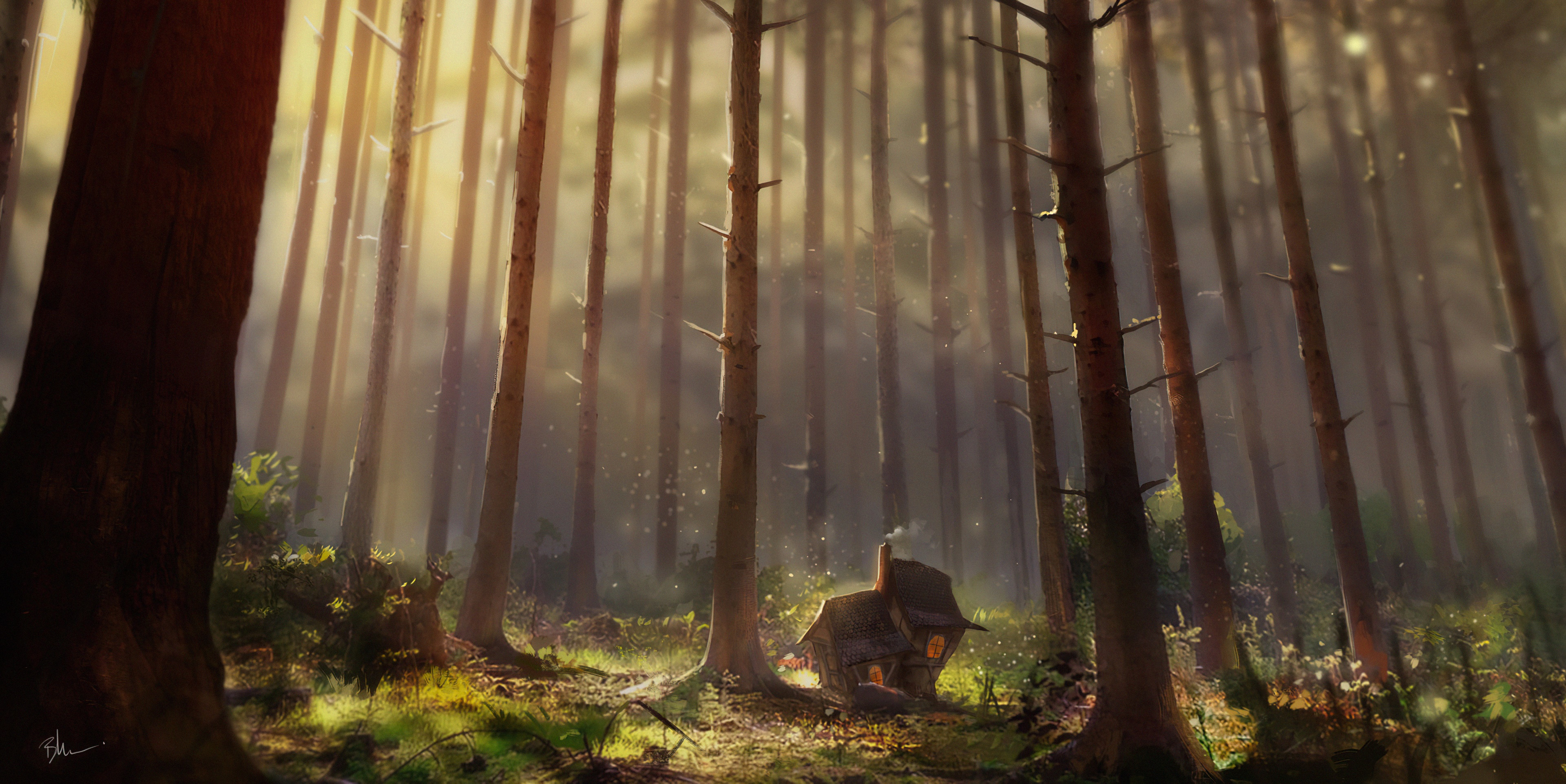 A small house in a sunlit forest HD Wallpaper