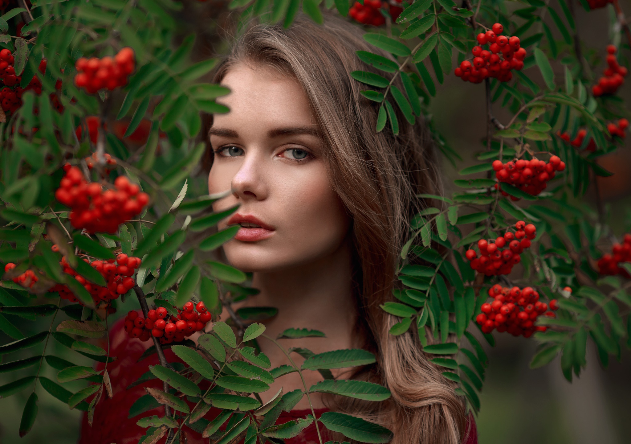 Woman with blonde hair behind rowan berries HD Wallpaper