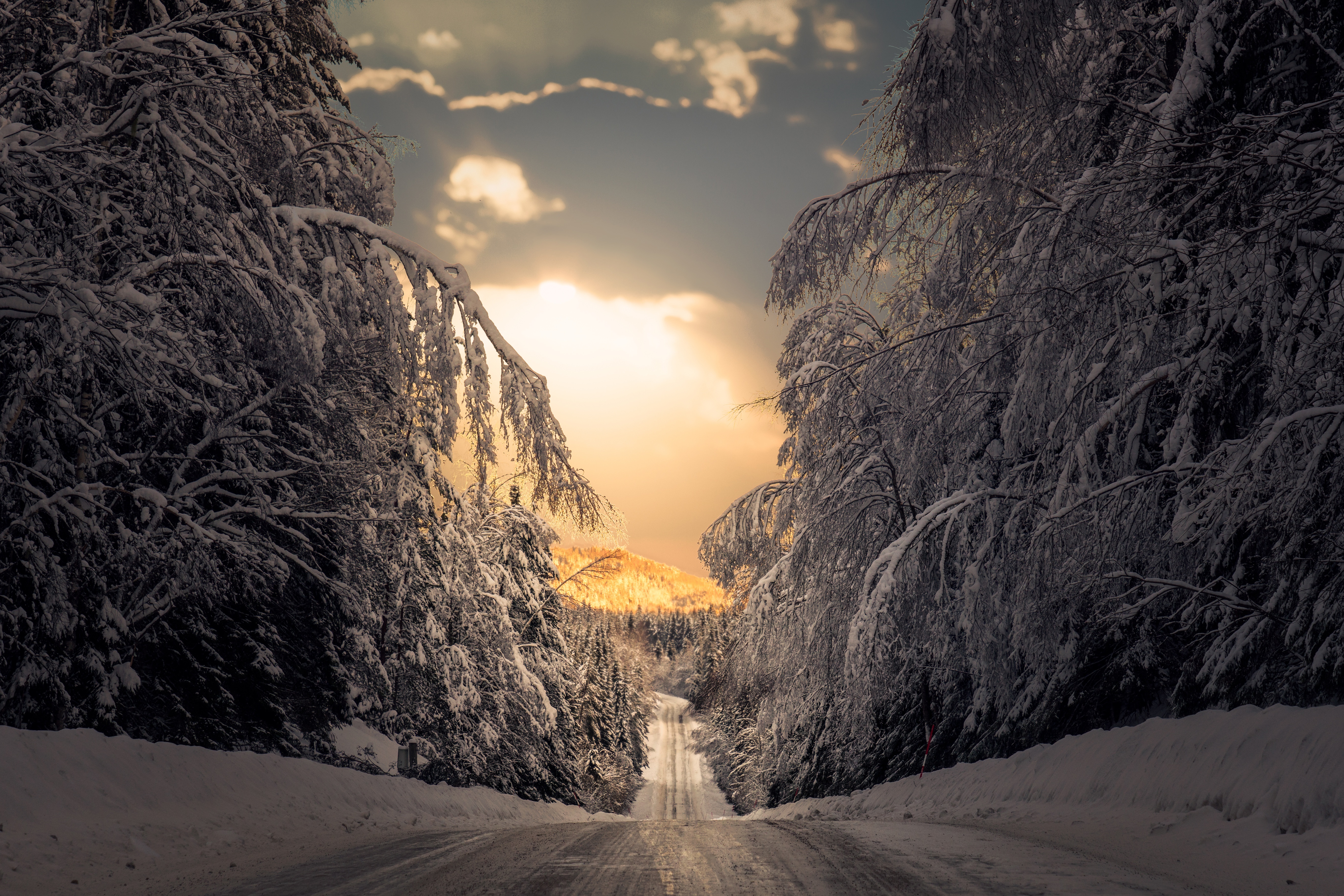 Snowy road in Sweden during winter HD Wallpaper
