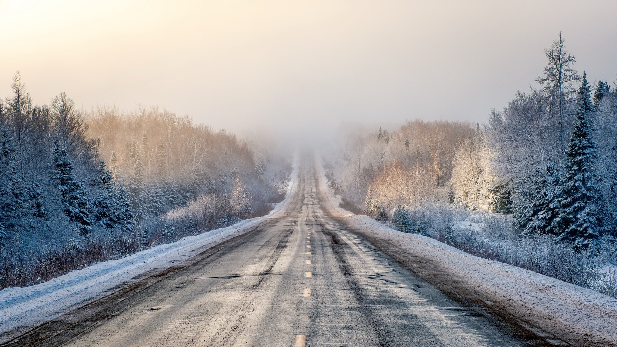Winter road through snowy forest with fog HD Wallpaper
