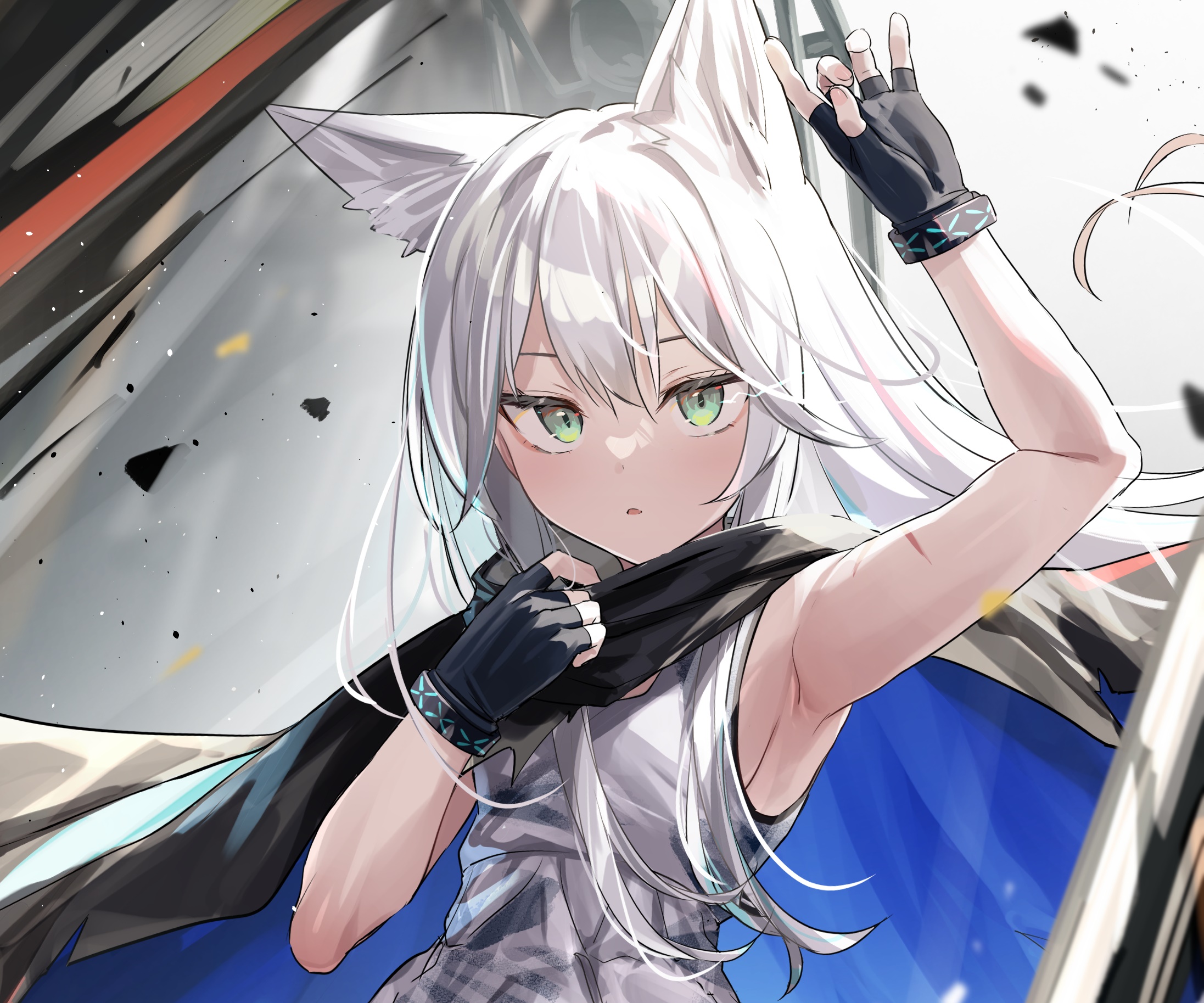 Rosmontis from Arknights HD Wallpaper