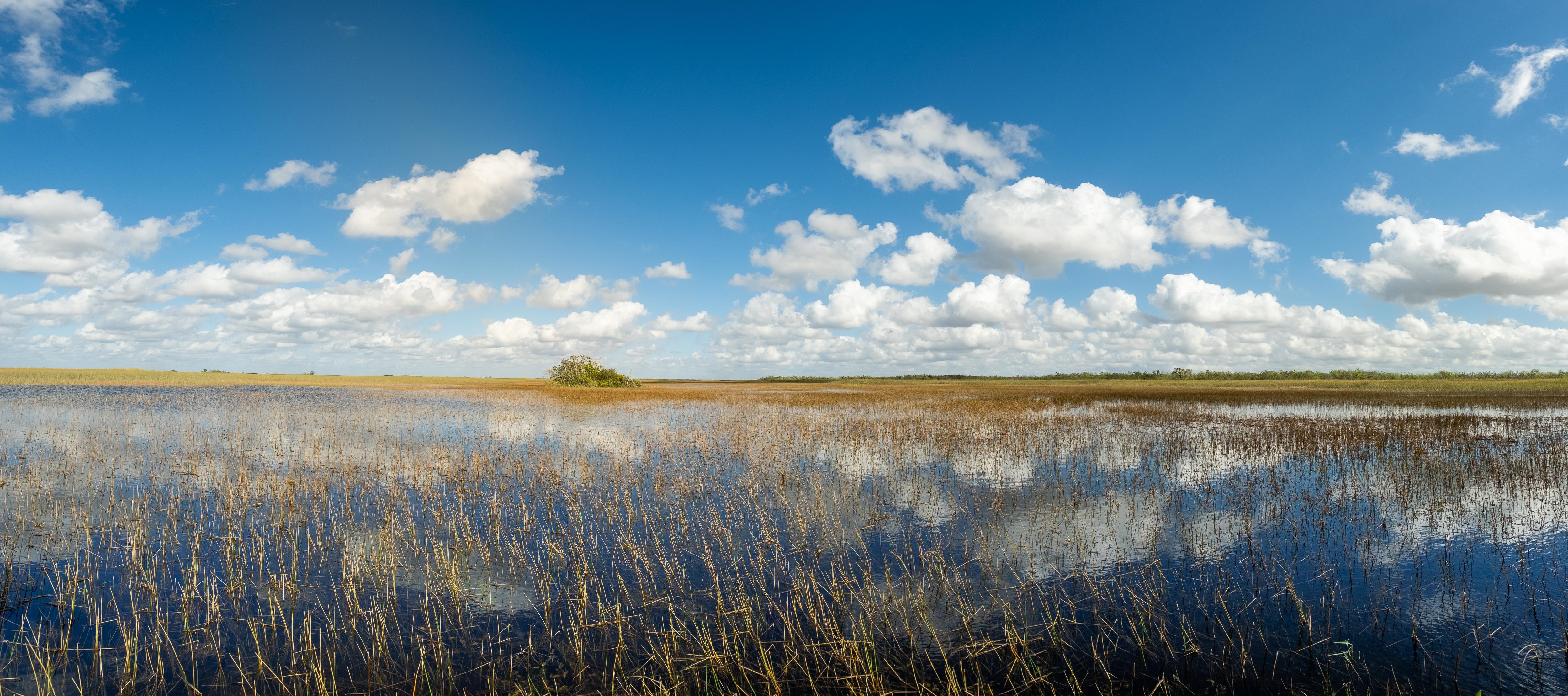 Everglades National Park with reflection of clouds HD Wallpaper