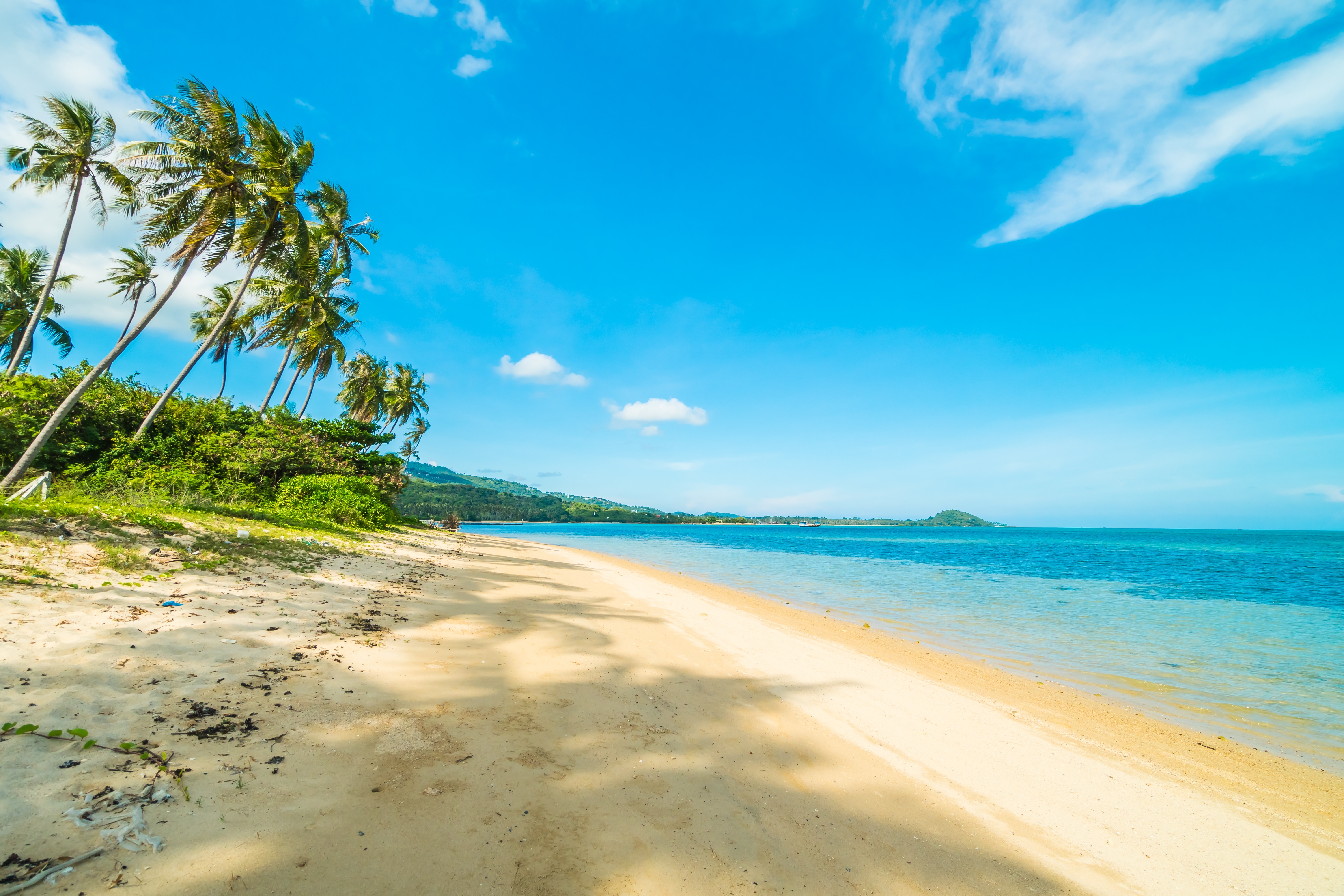 Beach Coastline Summer HD Wallpaper