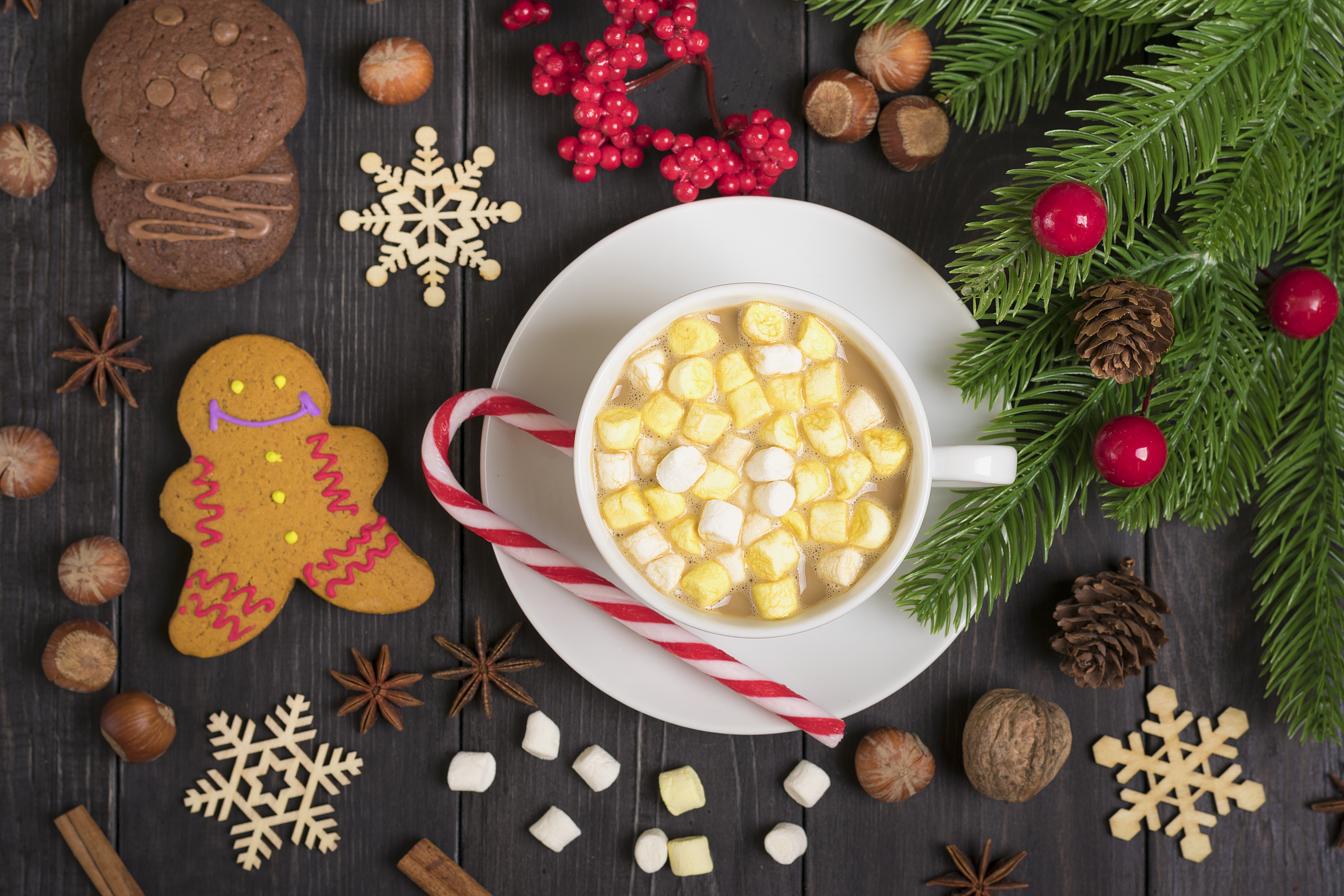 Hot Chocolate with Marshmallows and Christmas Decorations HD Wallpaper