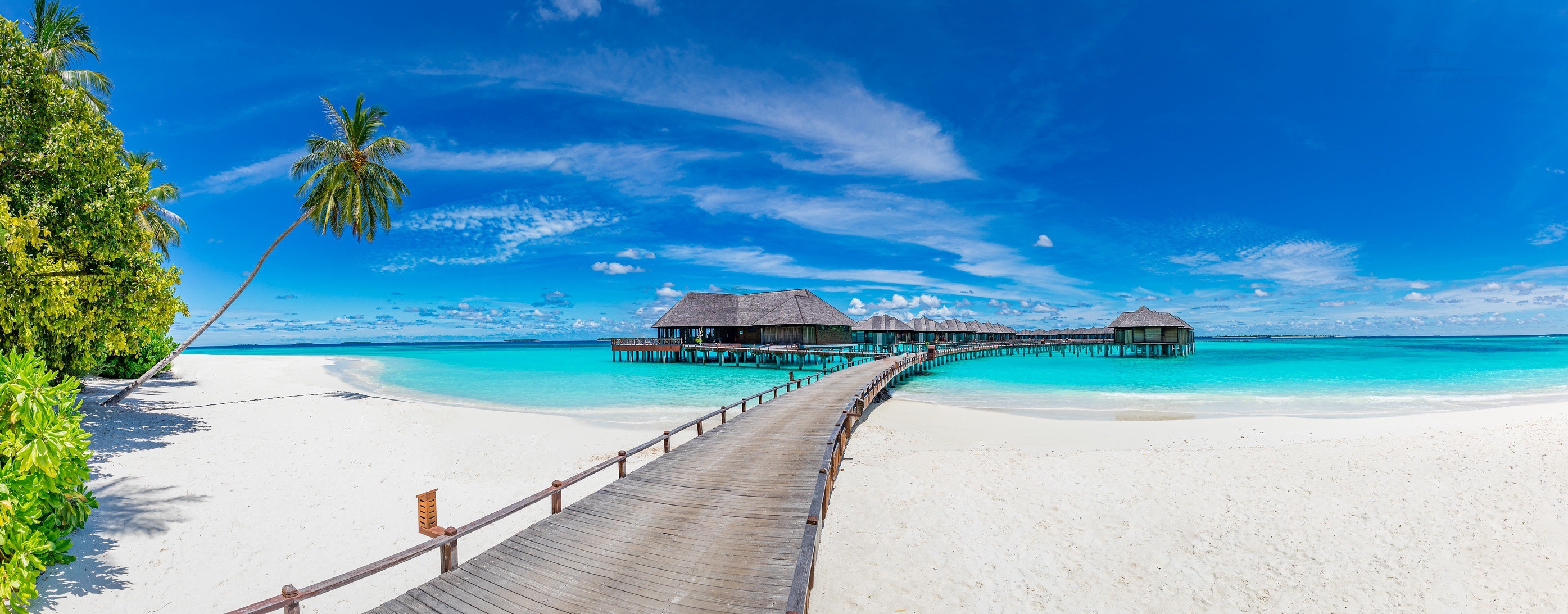 Tropical beach with overwater bungalows and palm trees HD Wallpaper