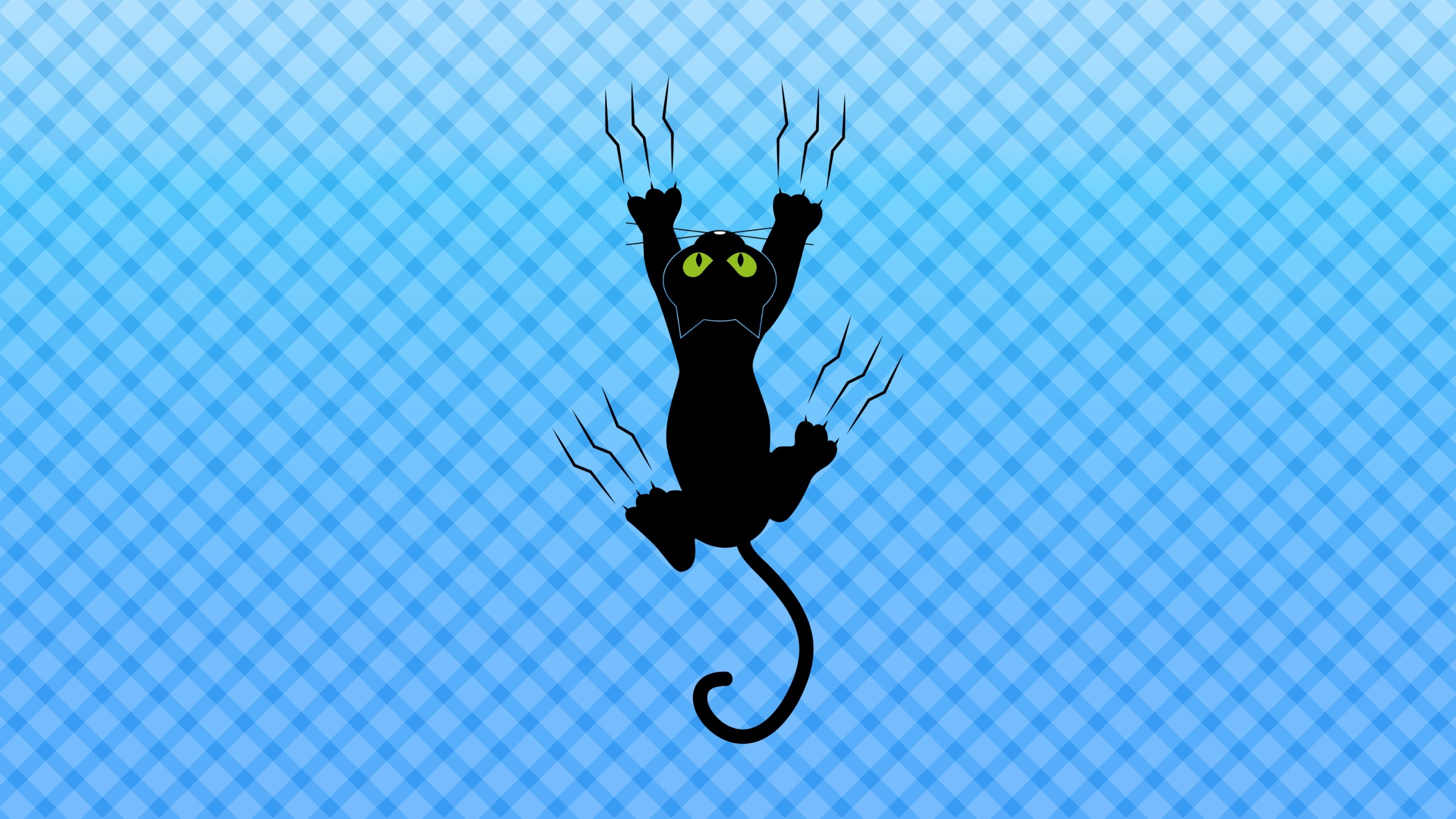 Black cat scratching blue checkered background HD Wallpaper