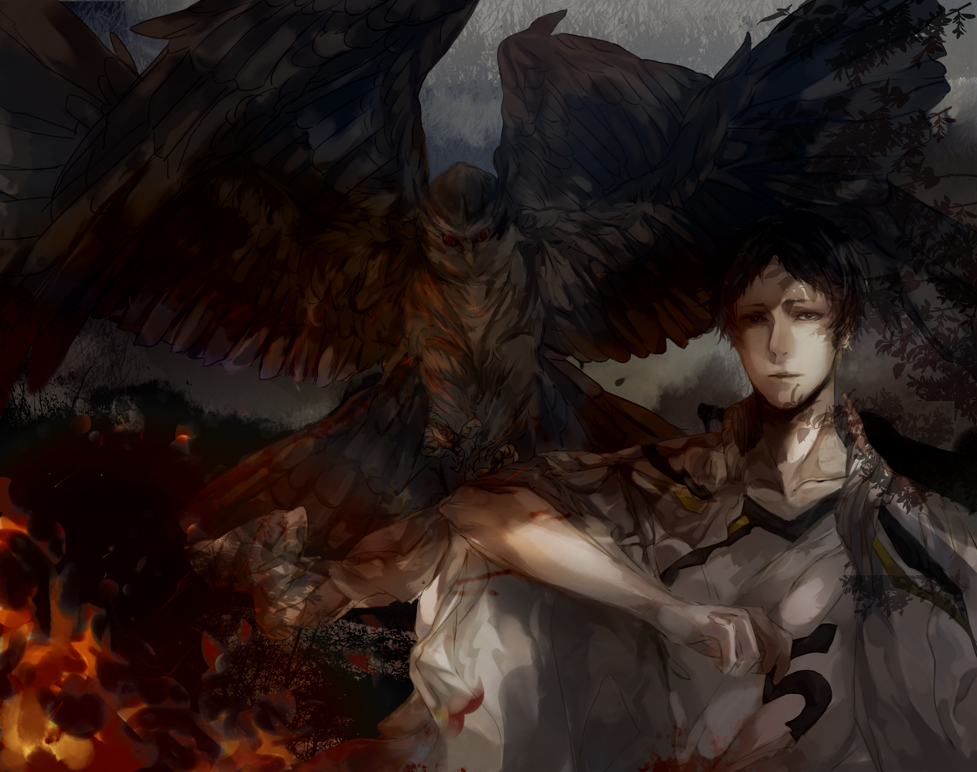 Keiji Akaashi from Haikyu!! with an owl HD Wallpaper