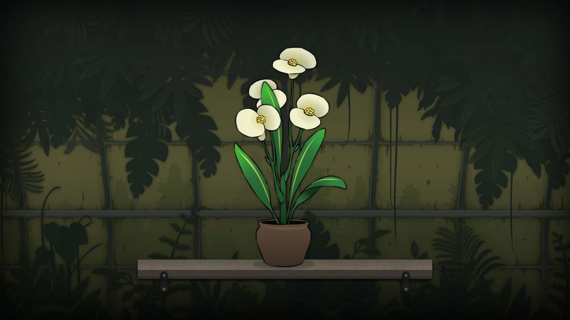 Strange Horticulture potted plant HD Wallpaper