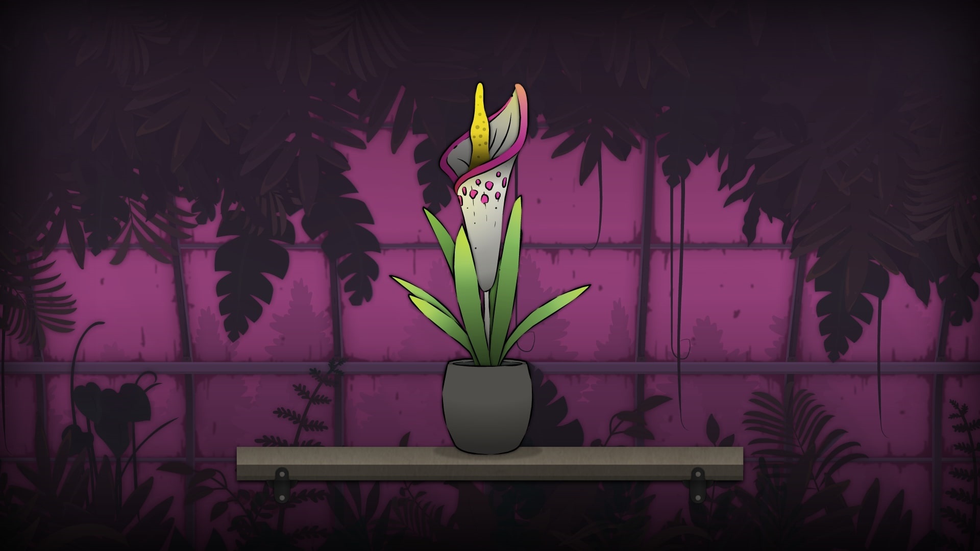 Strange Horticulture potted plant HD Wallpaper