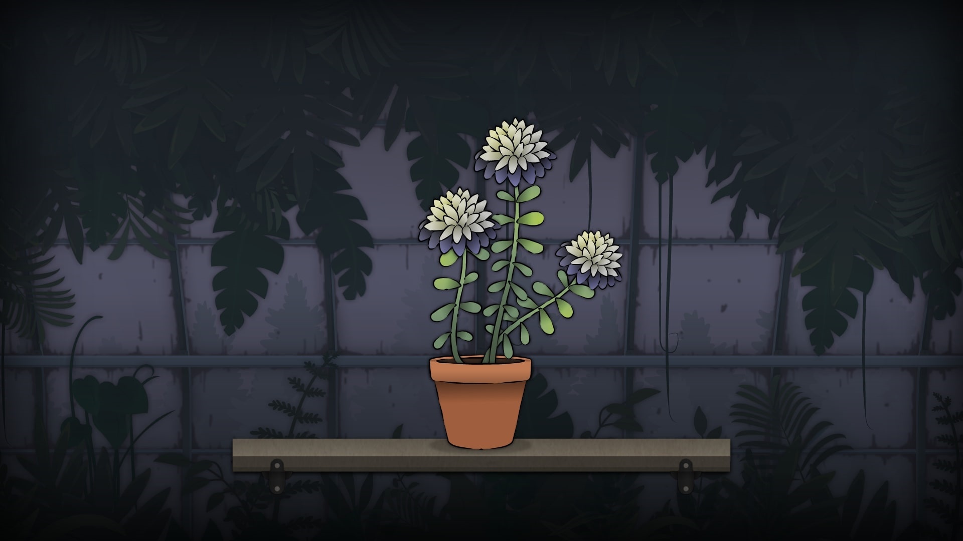 Strange Horticulture potted plant HD Wallpaper