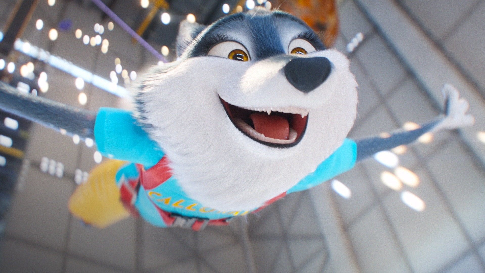 Ash from Sing 2 HD Wallpaper