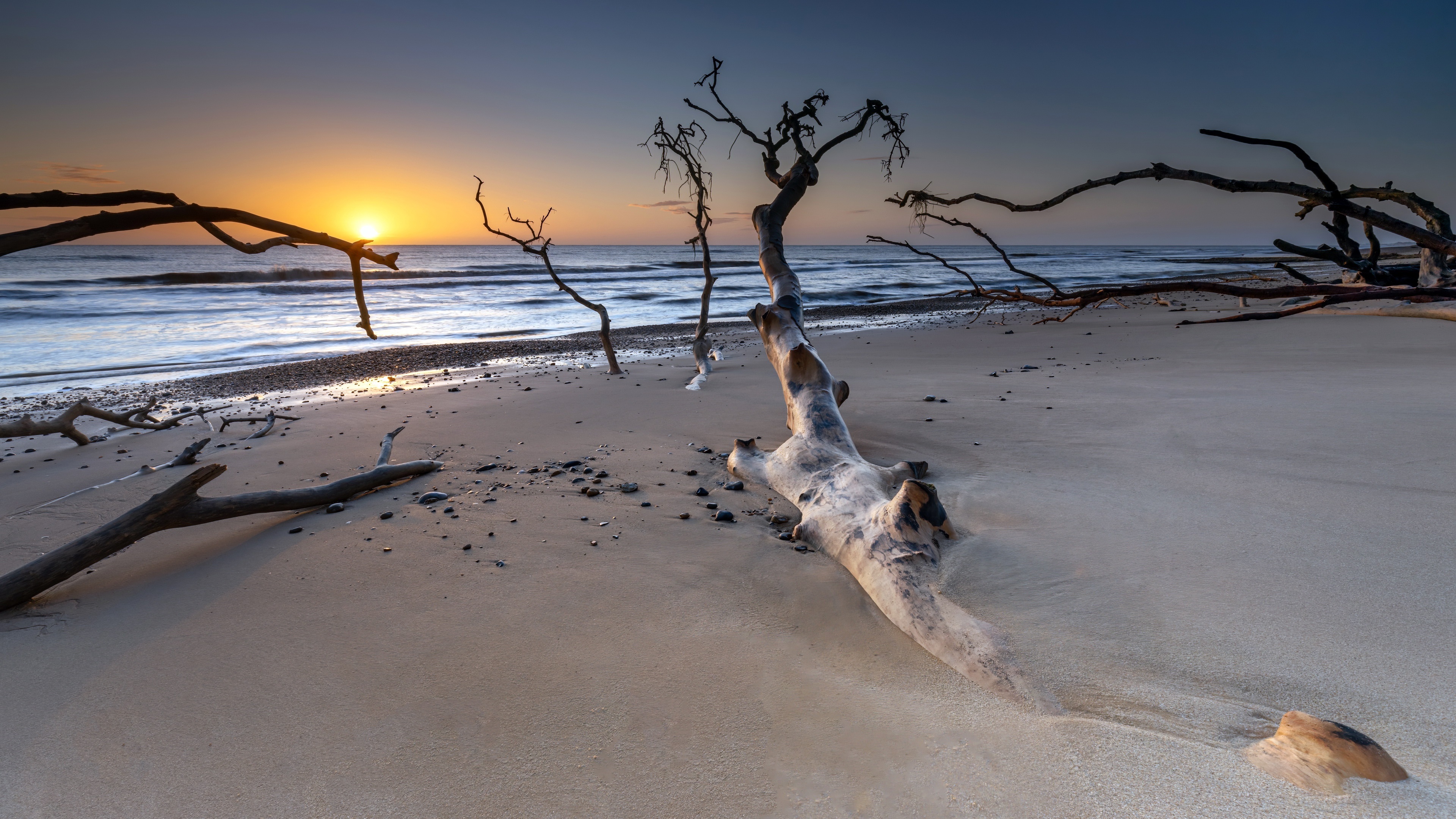 Sunset over ocean beach with driftwood HD Wallpaper