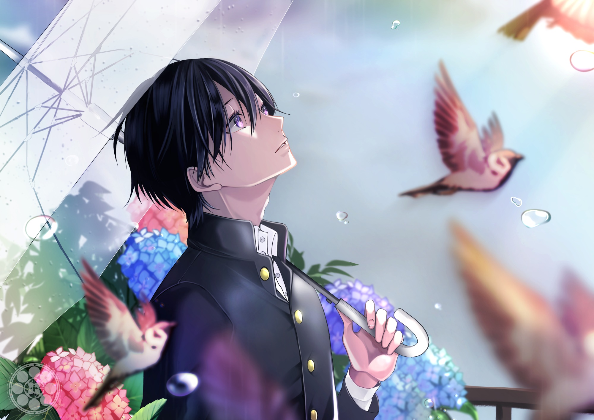 Anime boy with umbrella and birds in rain HD Wallpaper