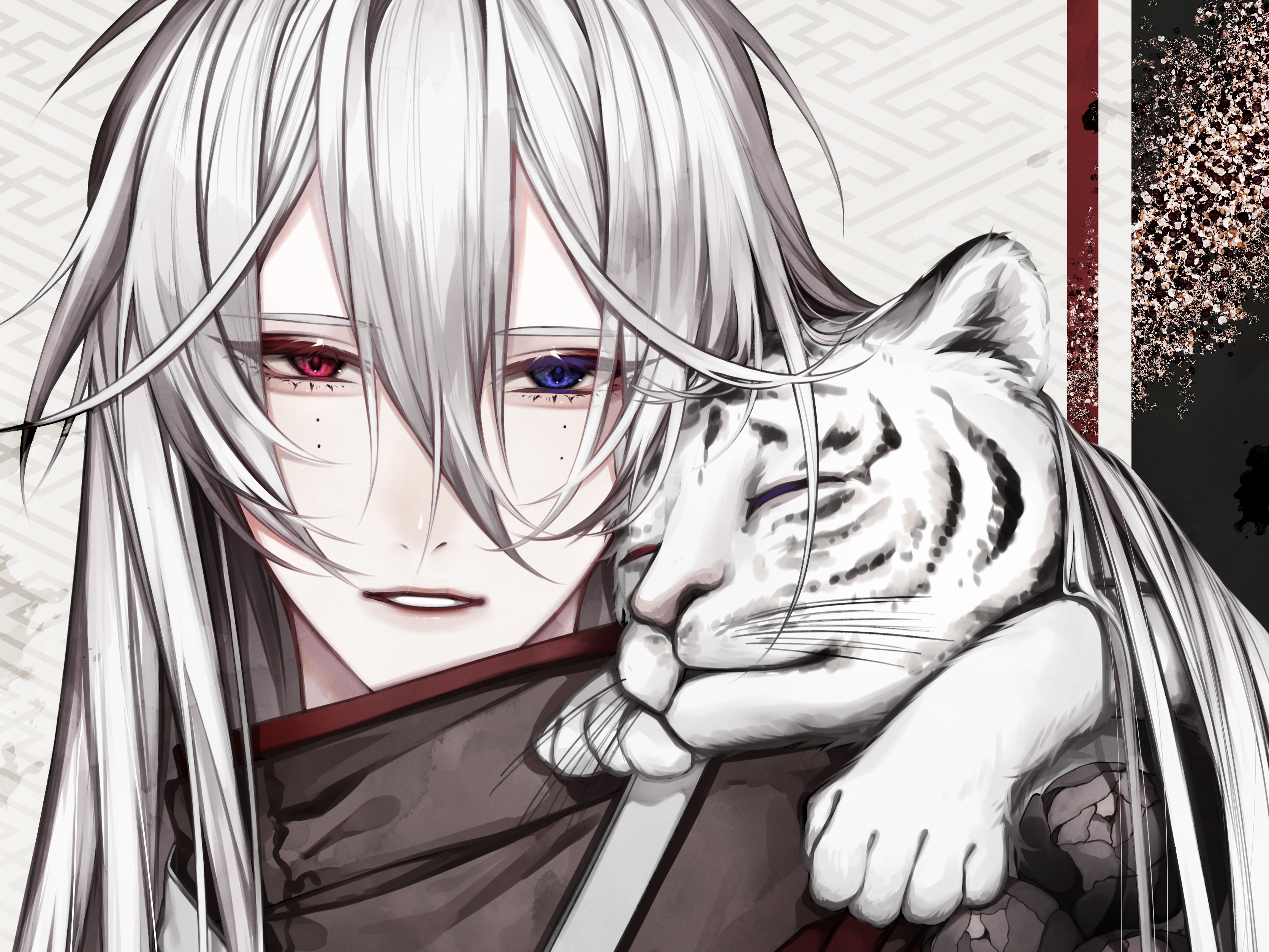 Anime boy with heterochromia and white tiger HD Wallpaper