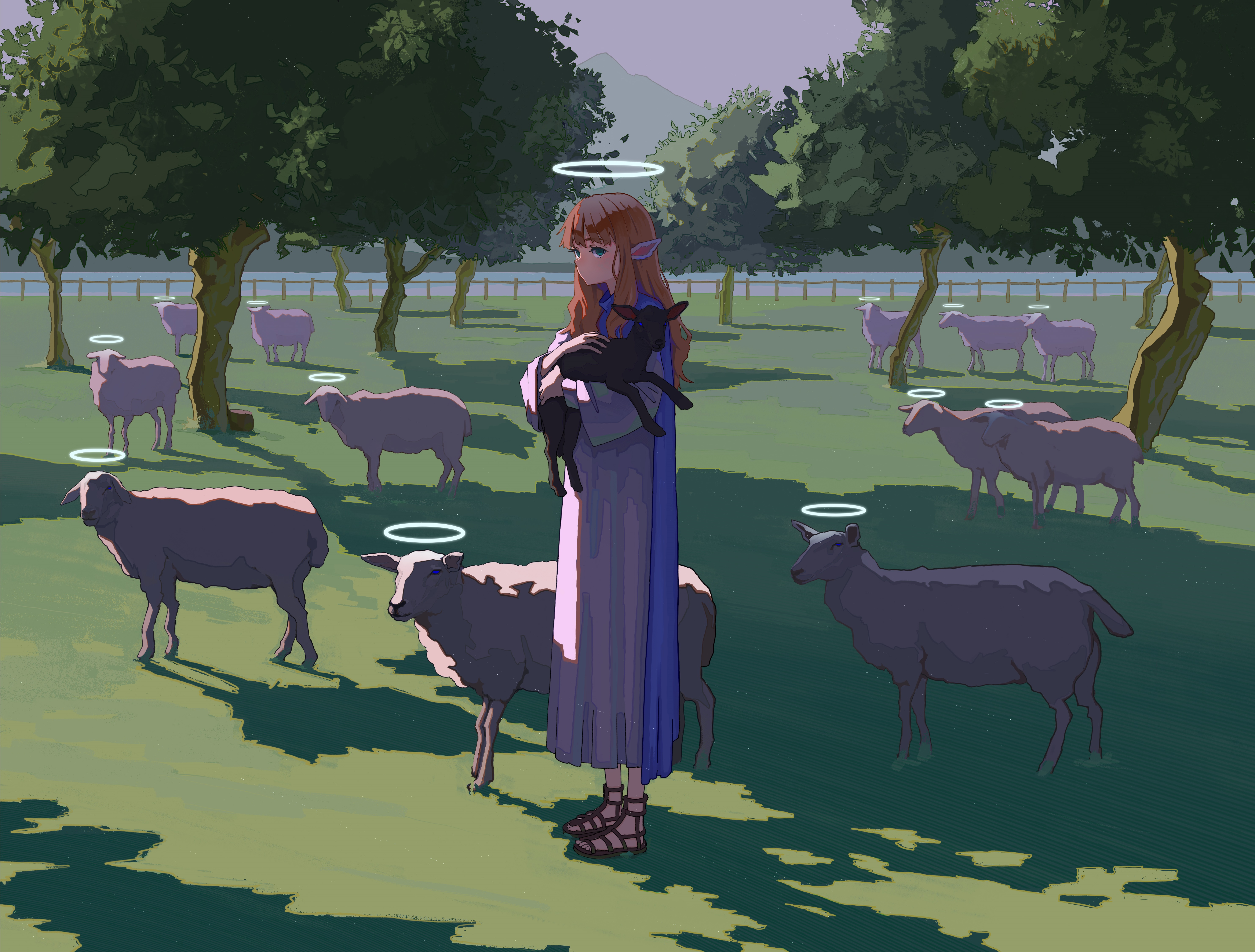 Girl with cat and sheep in a field HD Wallpaper