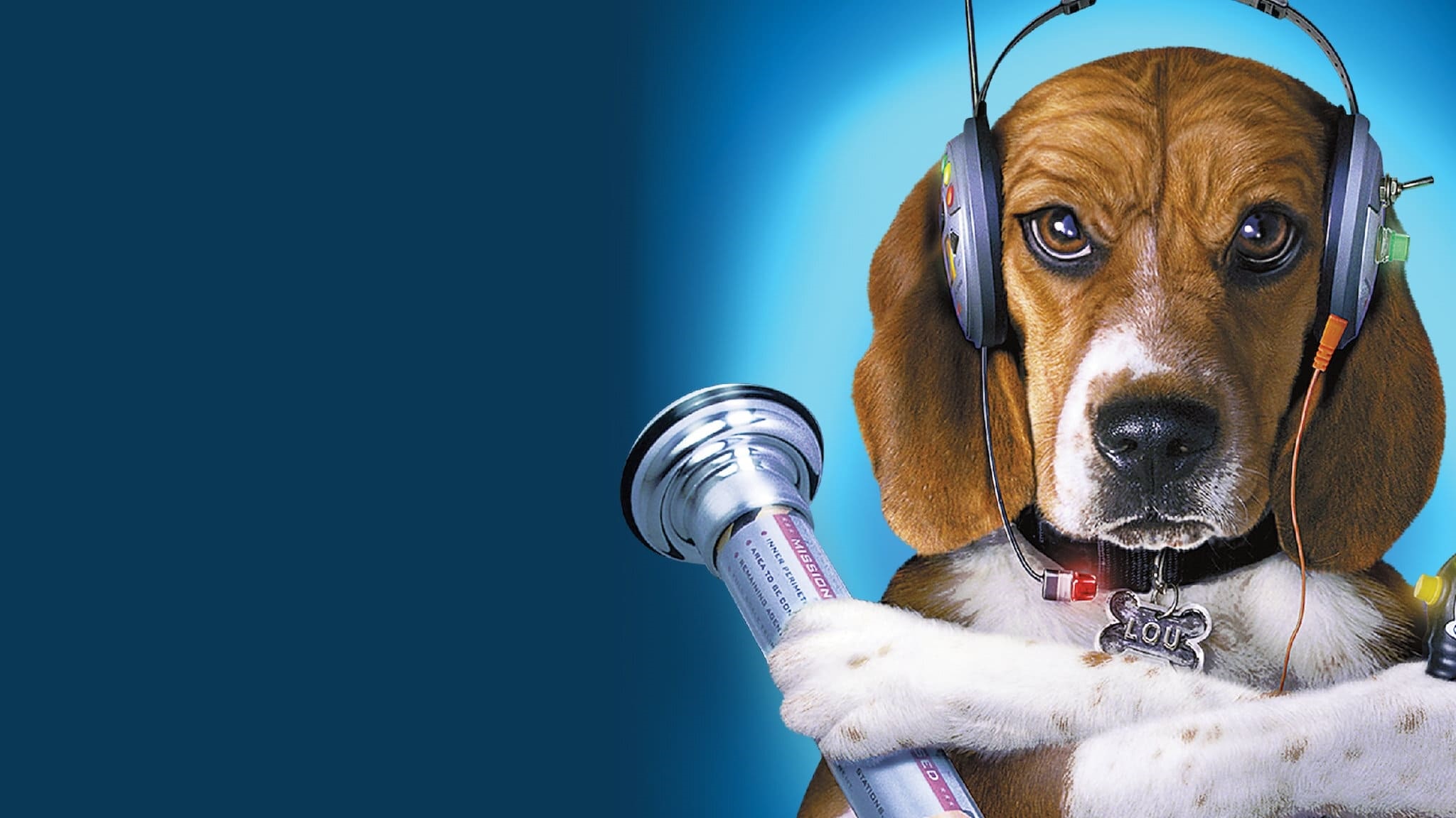 Lou the Beagle wearing headphones and holding a device HD Wallpaper