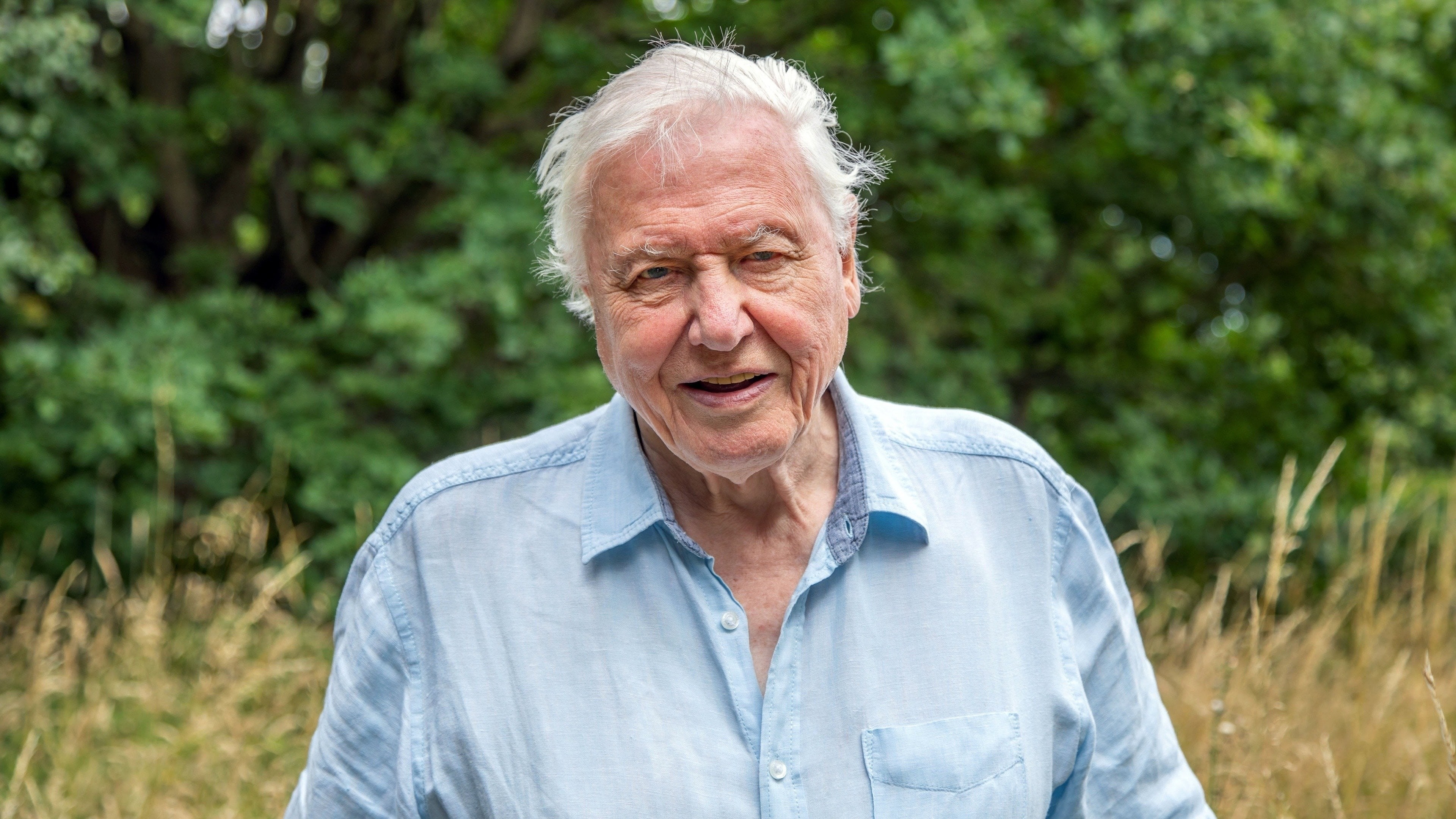 David Attenborough from A Perfect Planet 4K HD Wallpaper