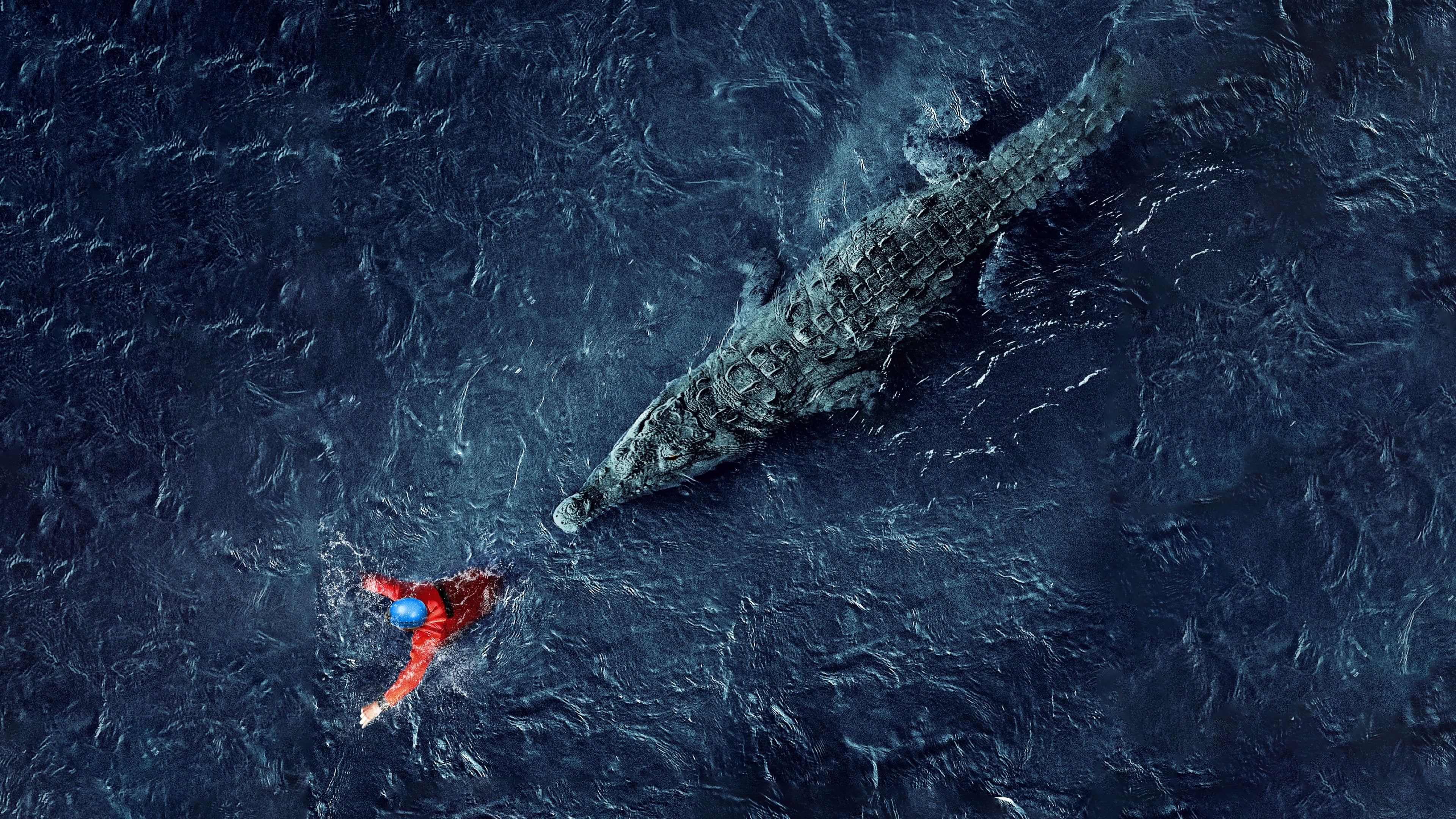 Crocodile and Swimmer in Dark Water 4K HD Wallpaper