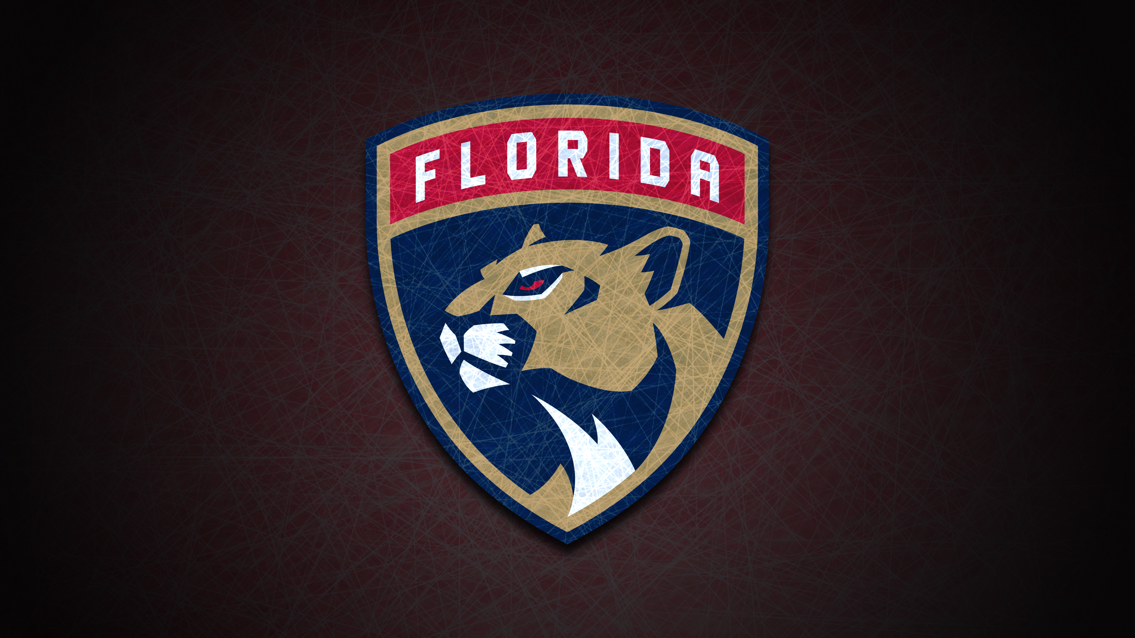 Florida Panthers NHL 4K HD Wallpaper