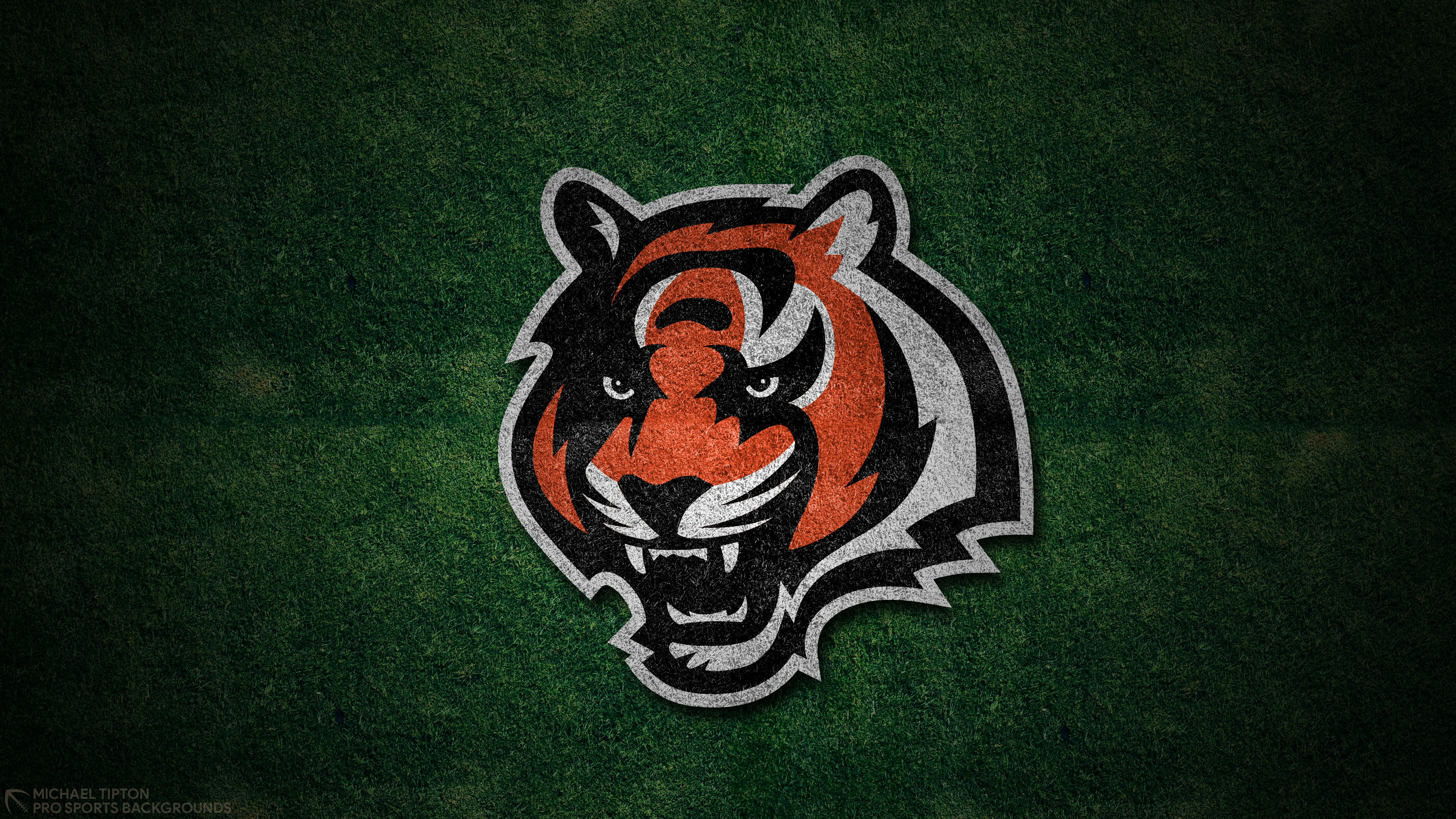 Cincinnati Bengals logo 4K HD Wallpaper