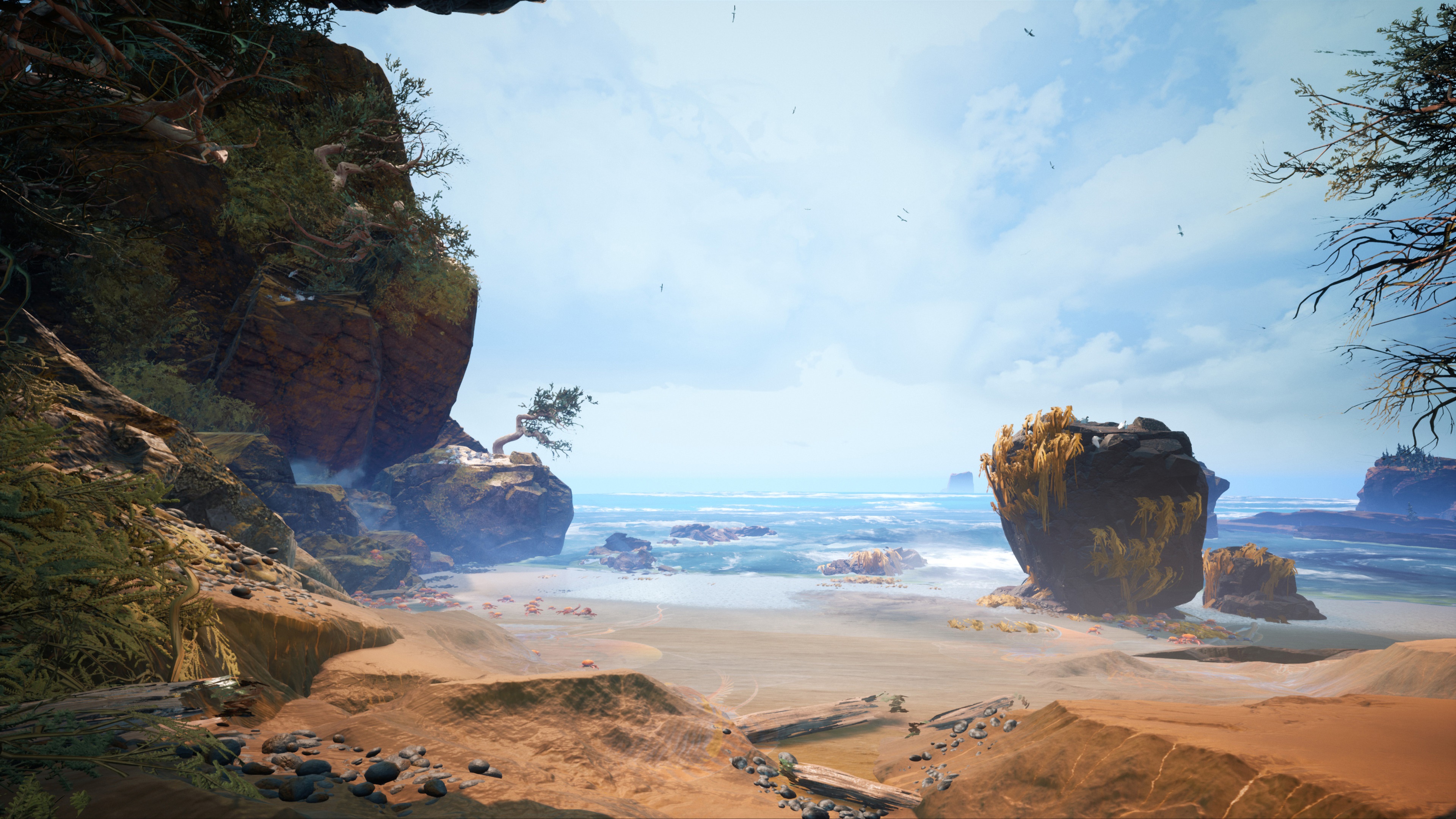 Warm Beach with Boulder and Cliff by Tyler Smith HD Wallpaper