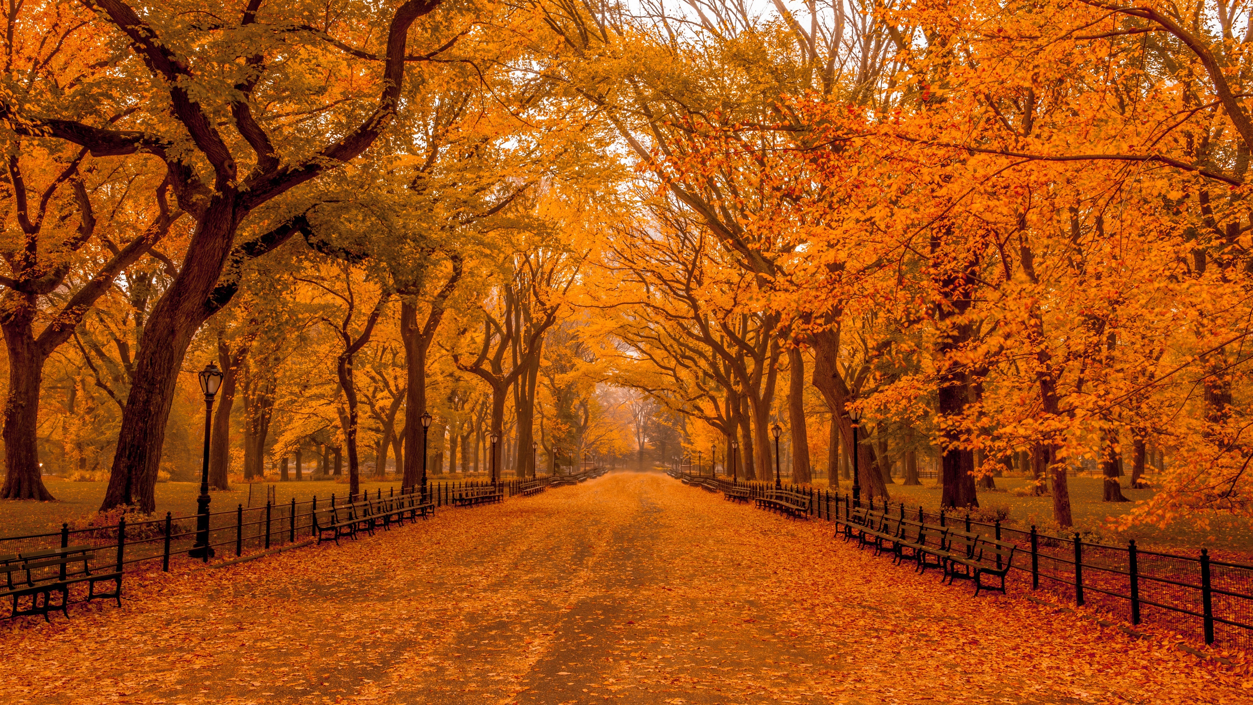 Autumn in Central Park, New York HD Wallpaper