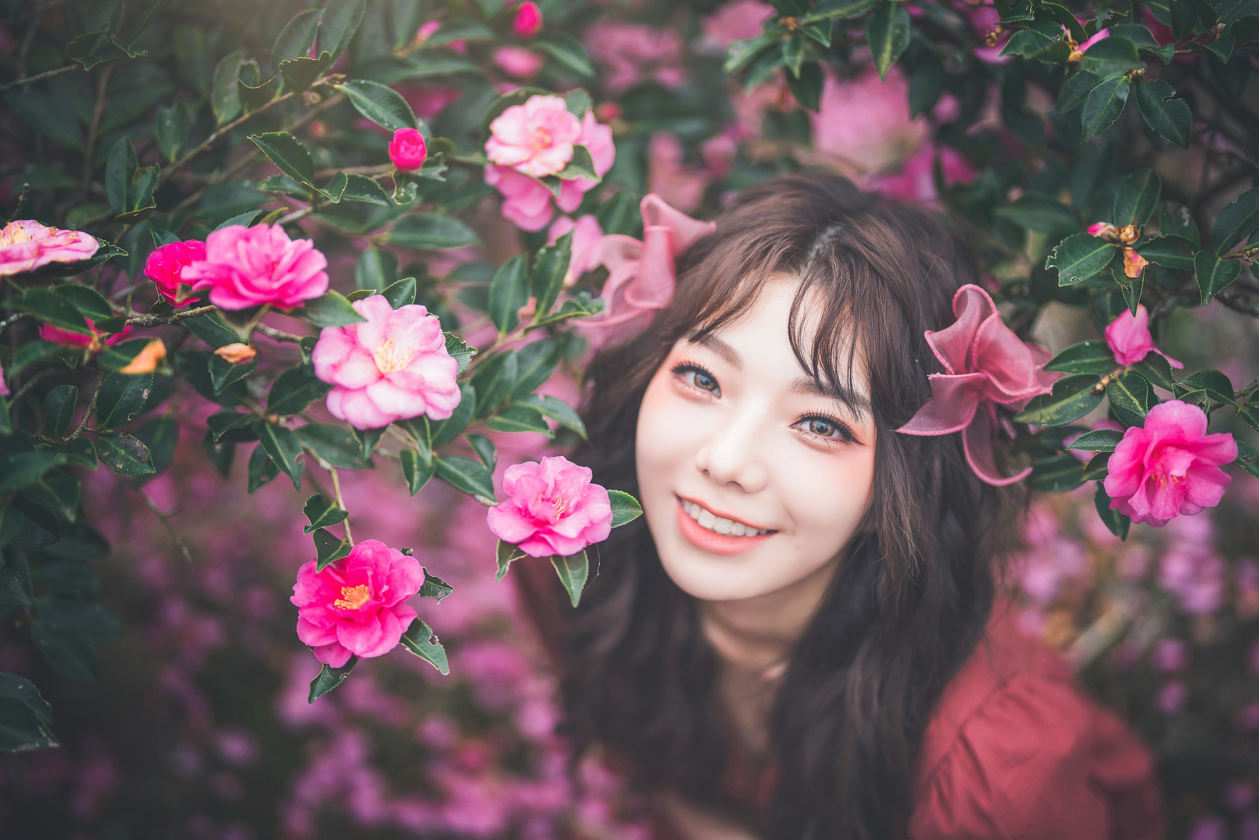 Asian woman with brunette hair among pink flowers HD Wallpaper
