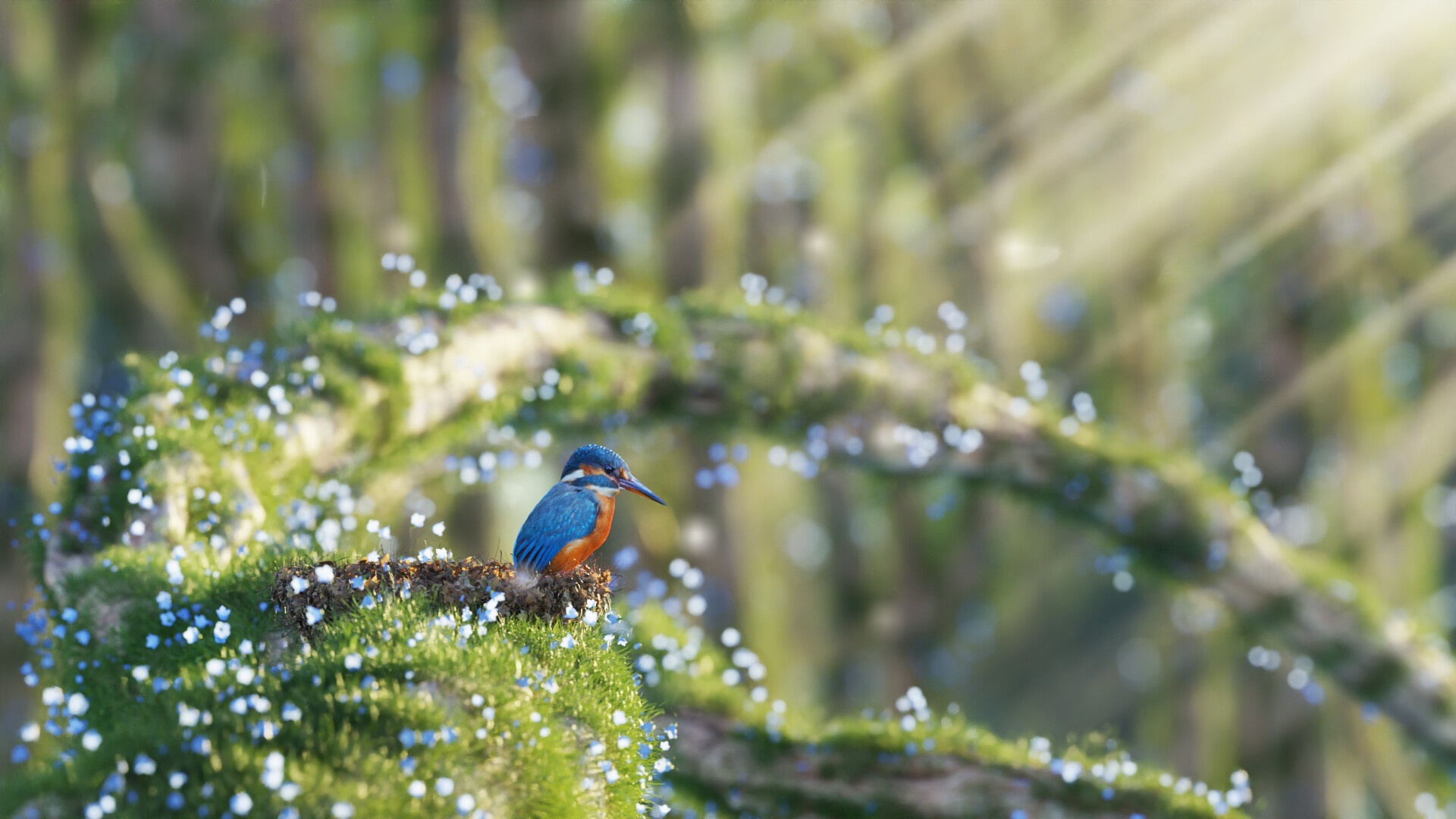 Kingfisher perched on mossy branch with sunbeams HD Wallpaper