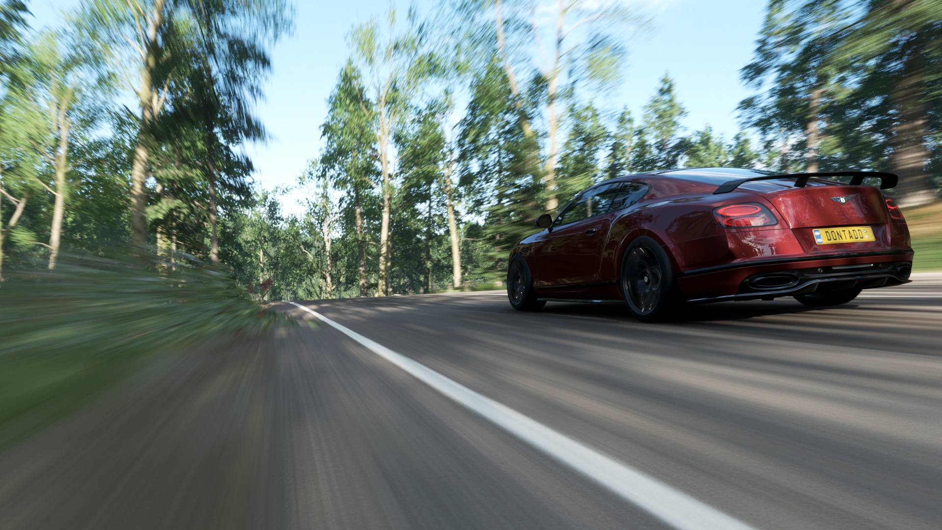 Bentley Continental Supersports driving on a forest road HD Wallpaper