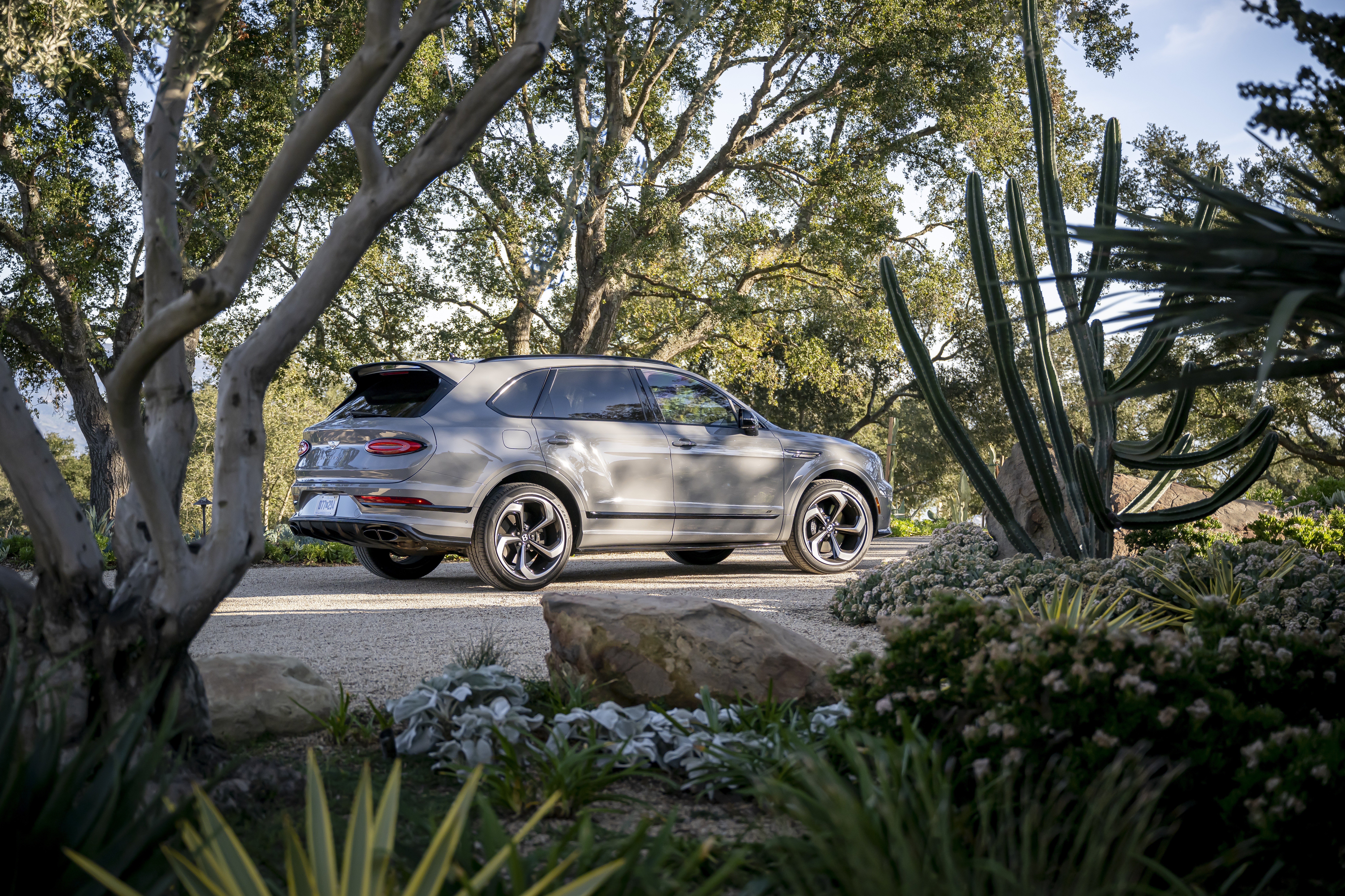 Bentley Bentayga S SUV in a garden setting HD Wallpaper