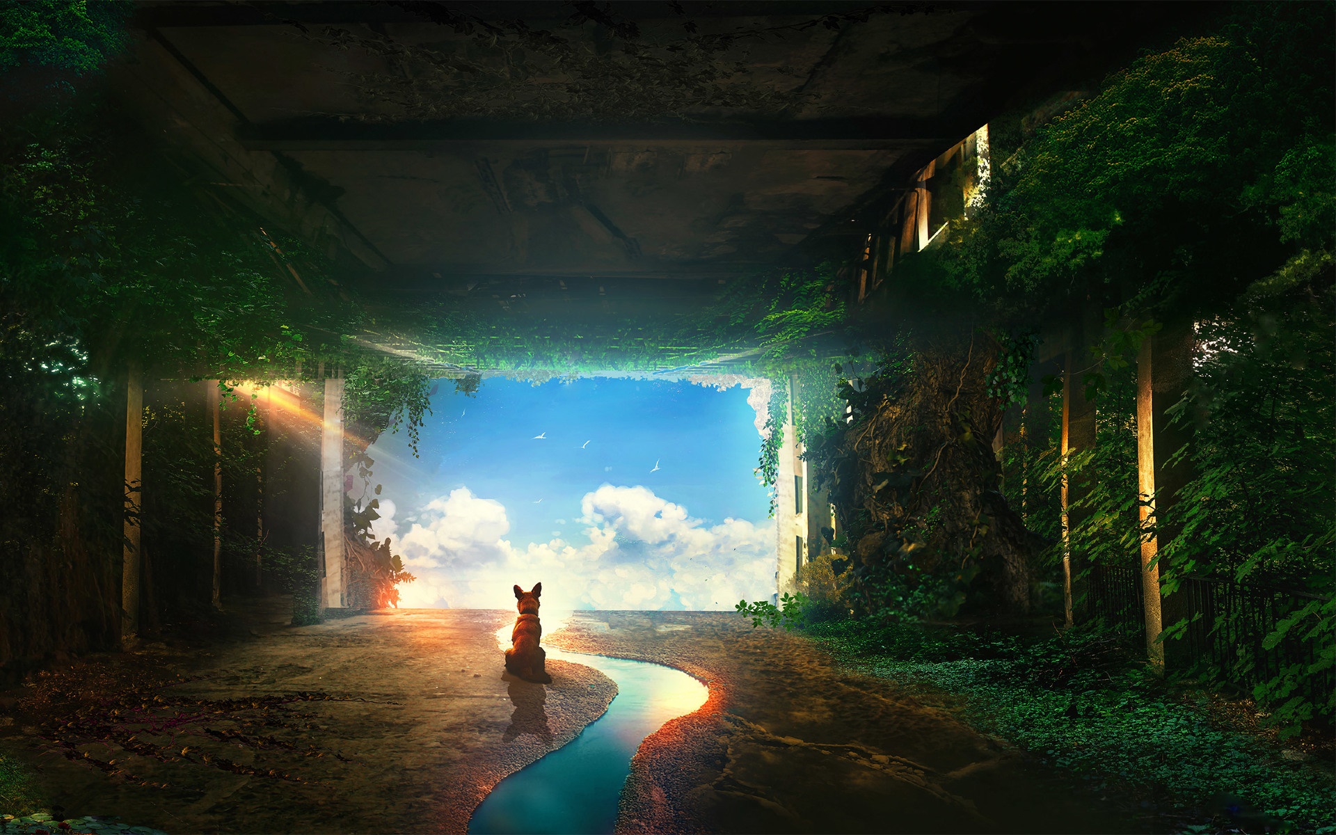 Post-apocalyptic scene with a dog by a stream HD Wallpaper