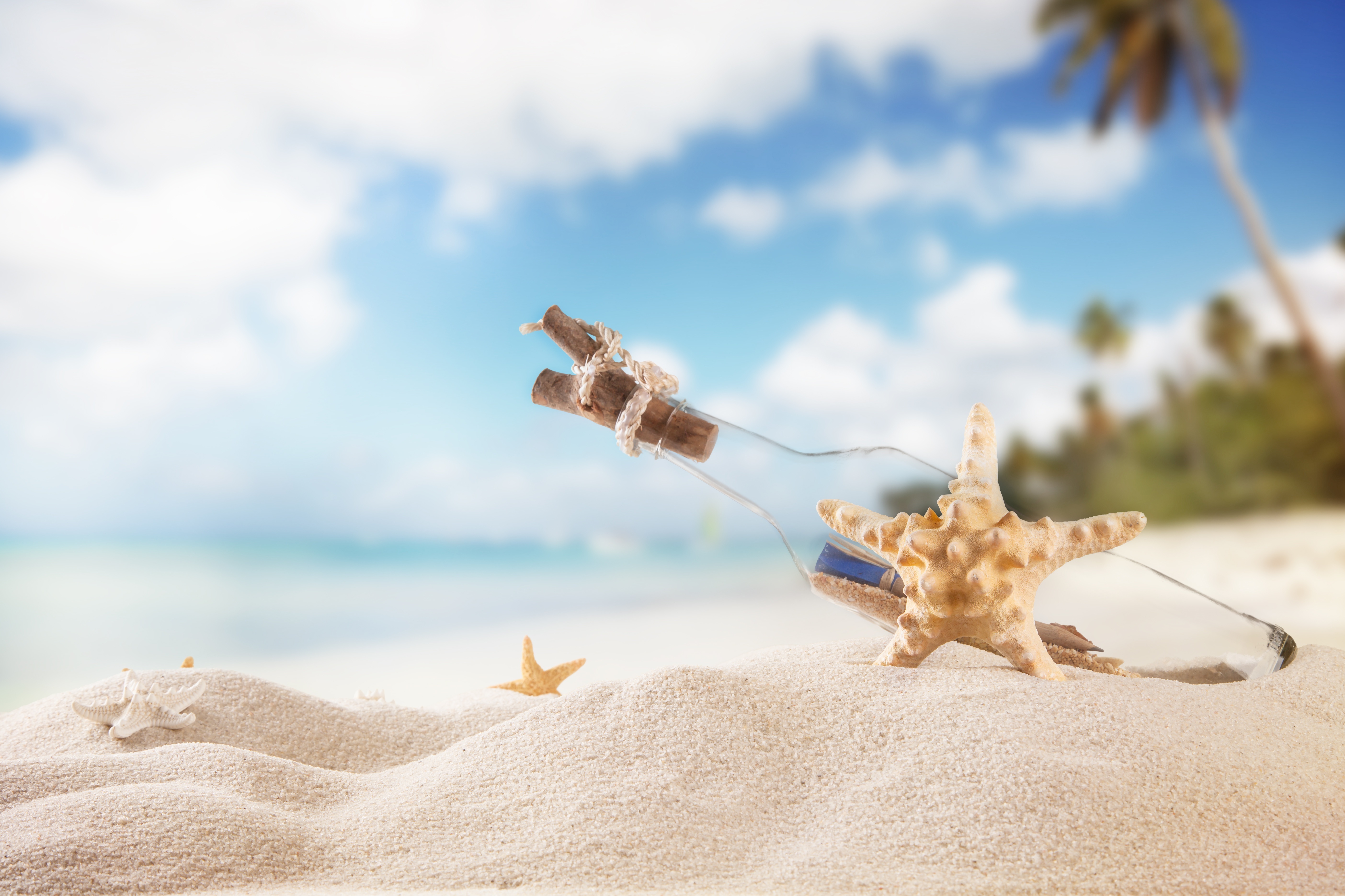 Message in a bottle on a sandy beach with starfish HD Wallpaper