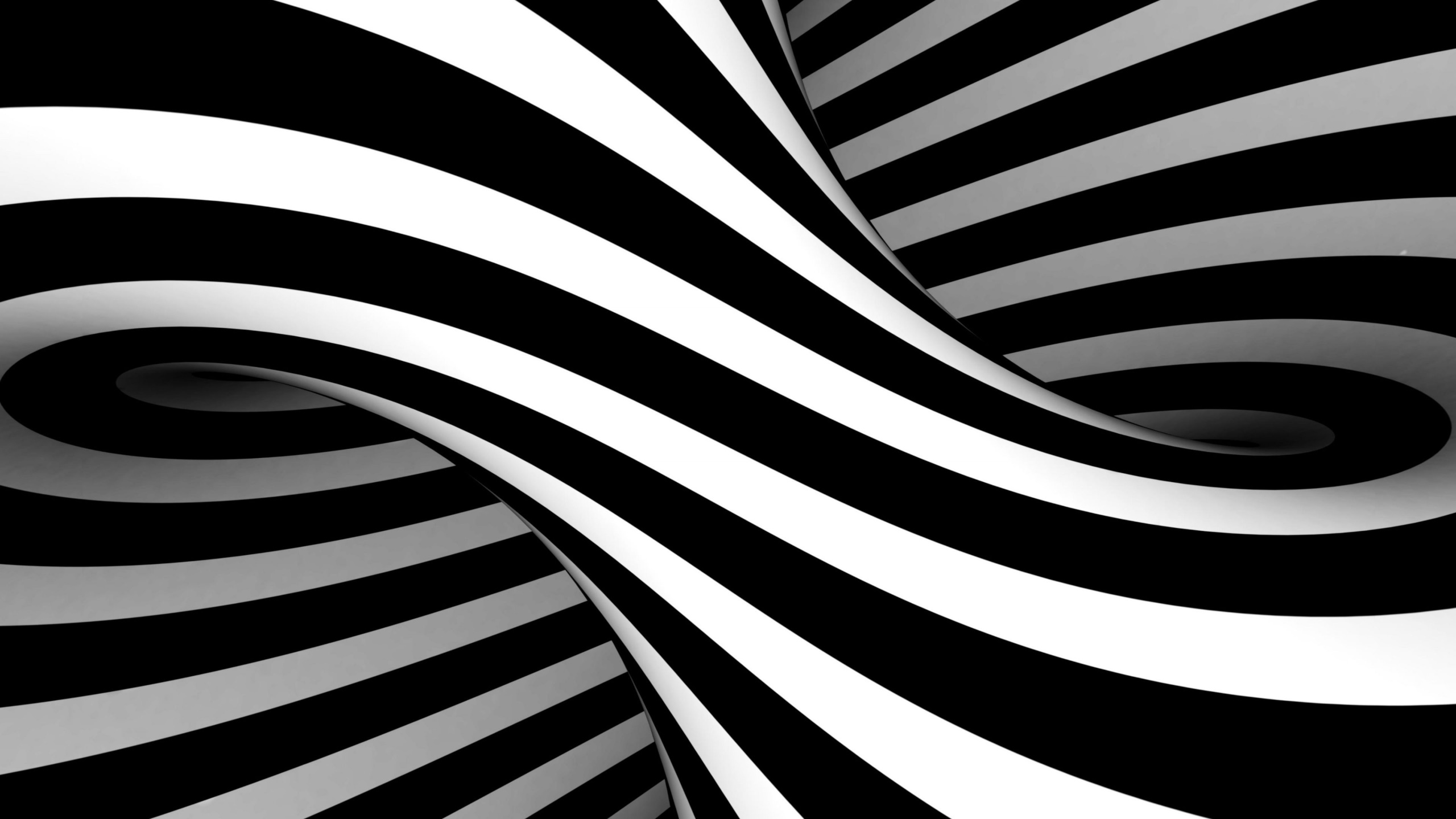 Abstract black and white torus shape HD Wallpaper