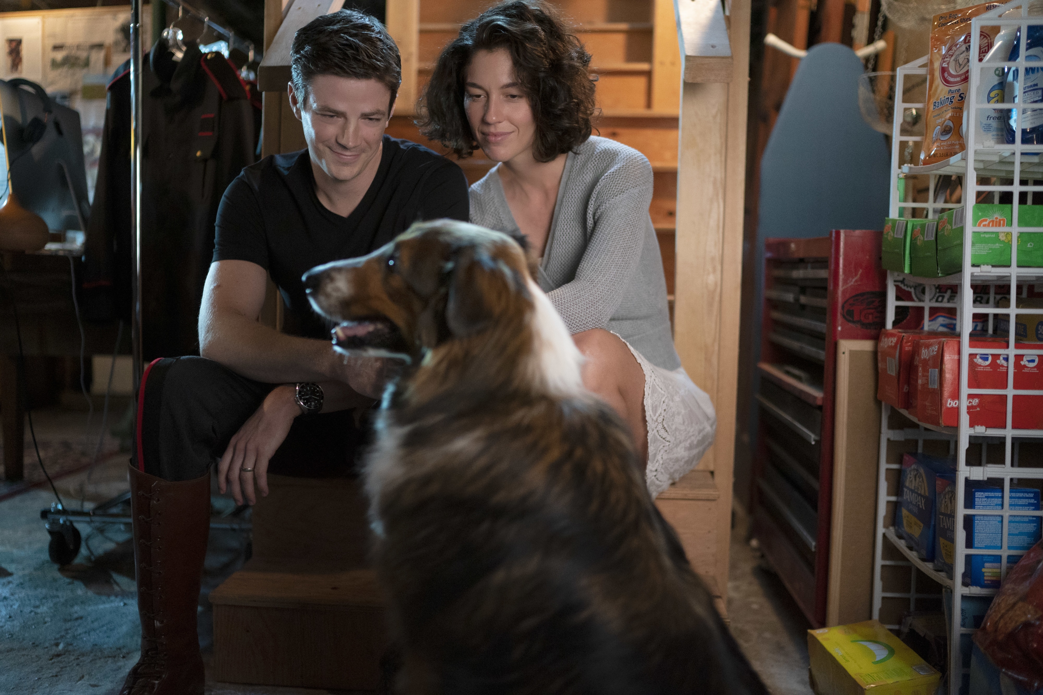 Grant Gustin and dog in Rescued By Ruby 4K HD Wallpaper