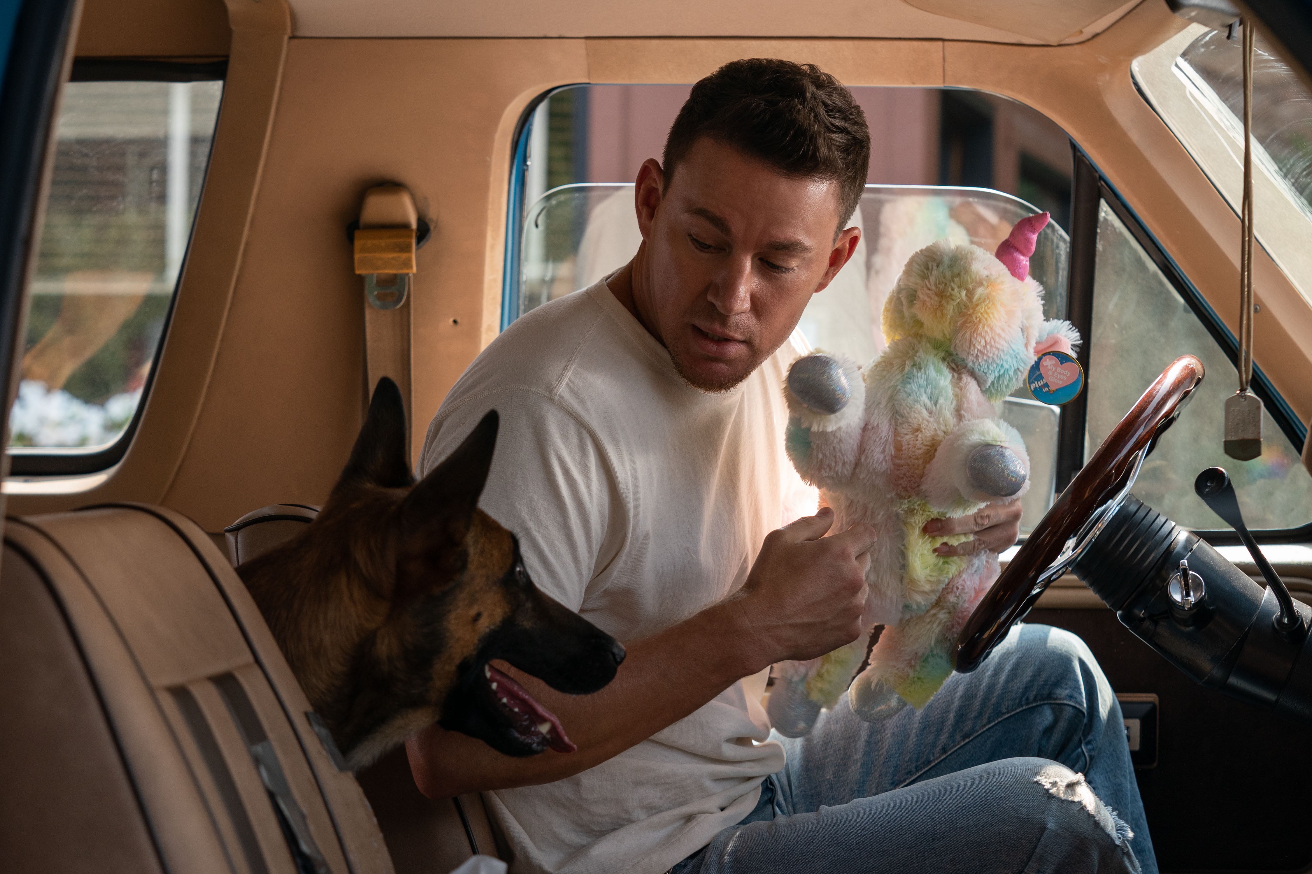 Channing Tatum and dog in a van with a unicorn toy HD Wallpaper