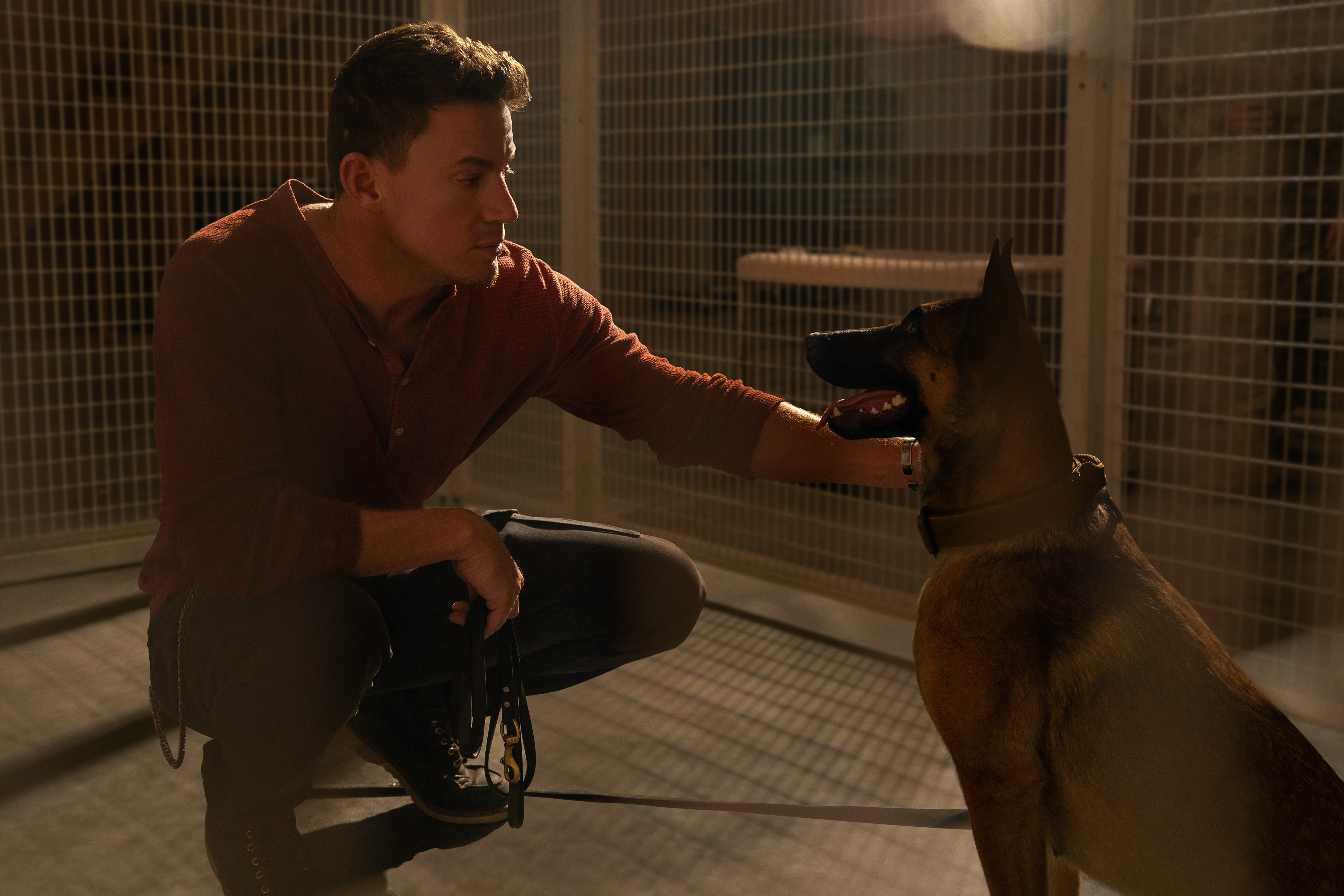 Channing Tatum with Dog HD Wallpaper