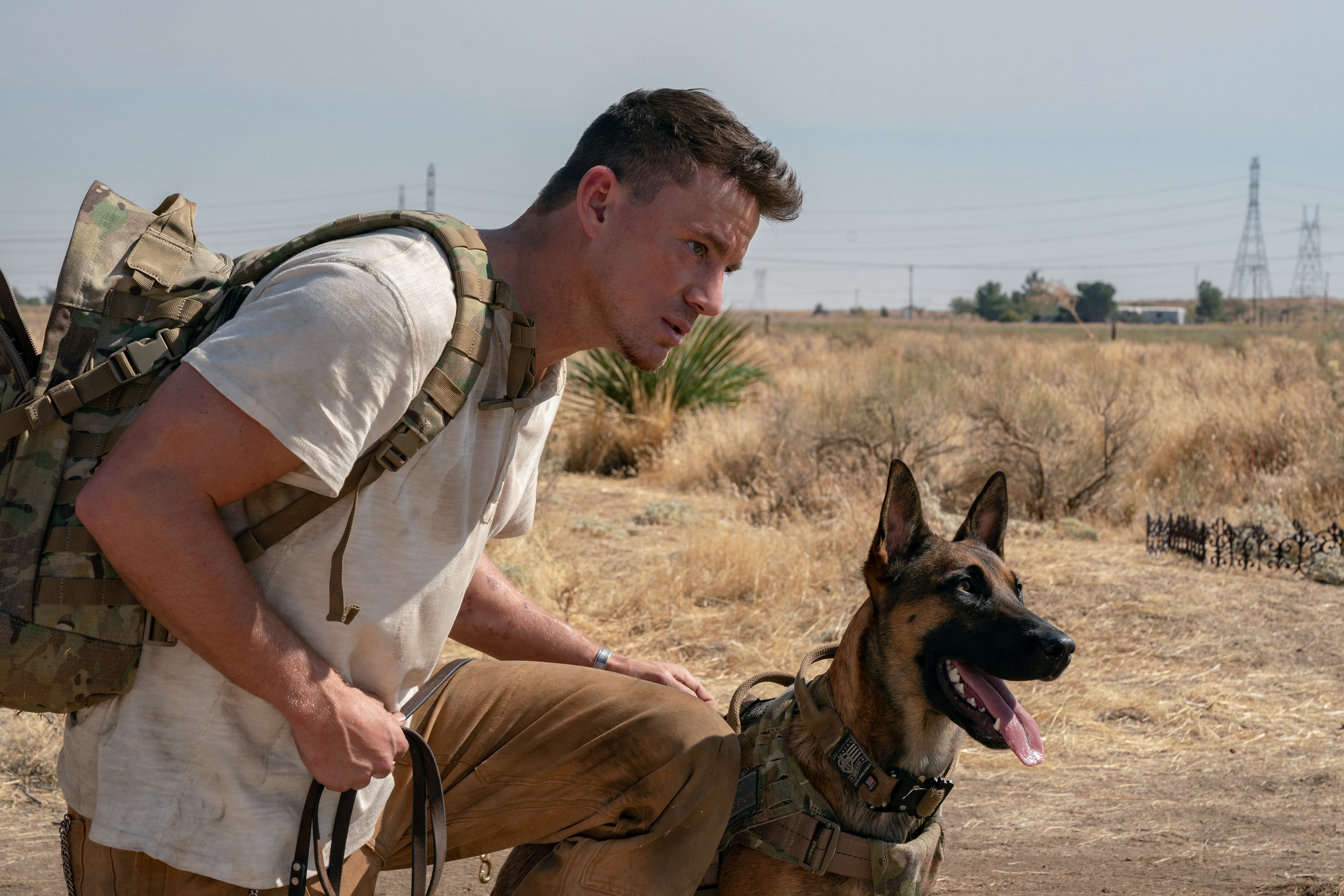 Channing Tatum and Dog in a Field HD Wallpaper