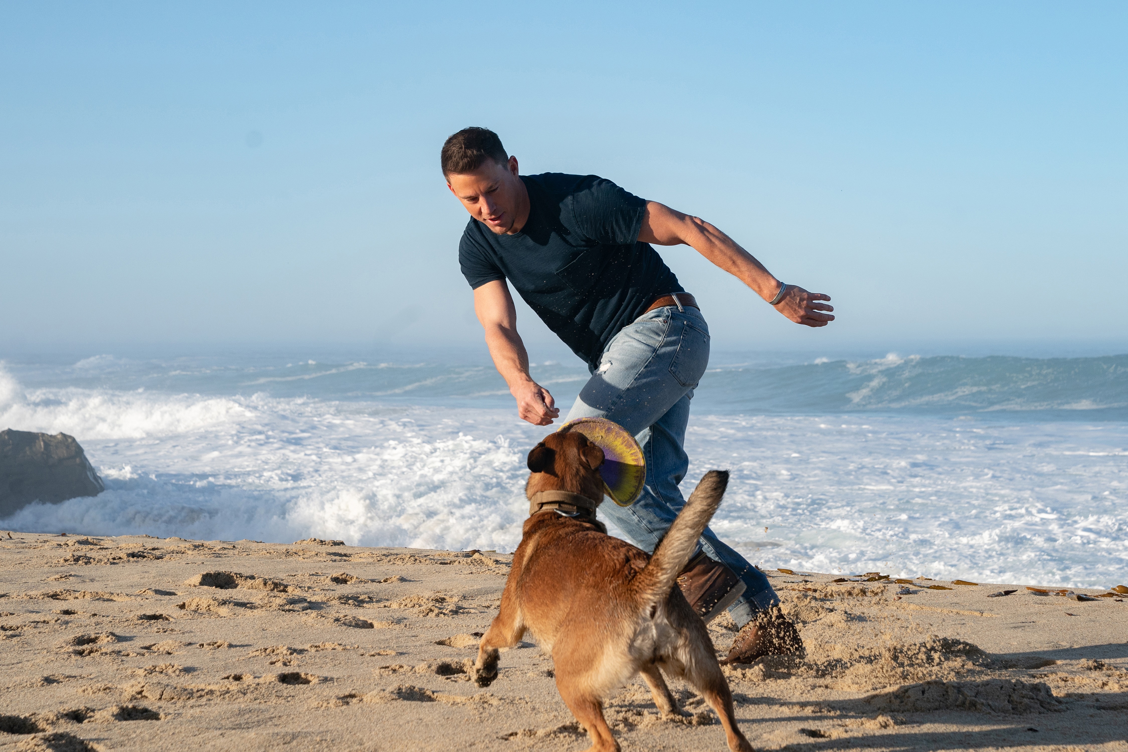 Channing Tatum playing with dog on beach 4K HD Wallpaper
