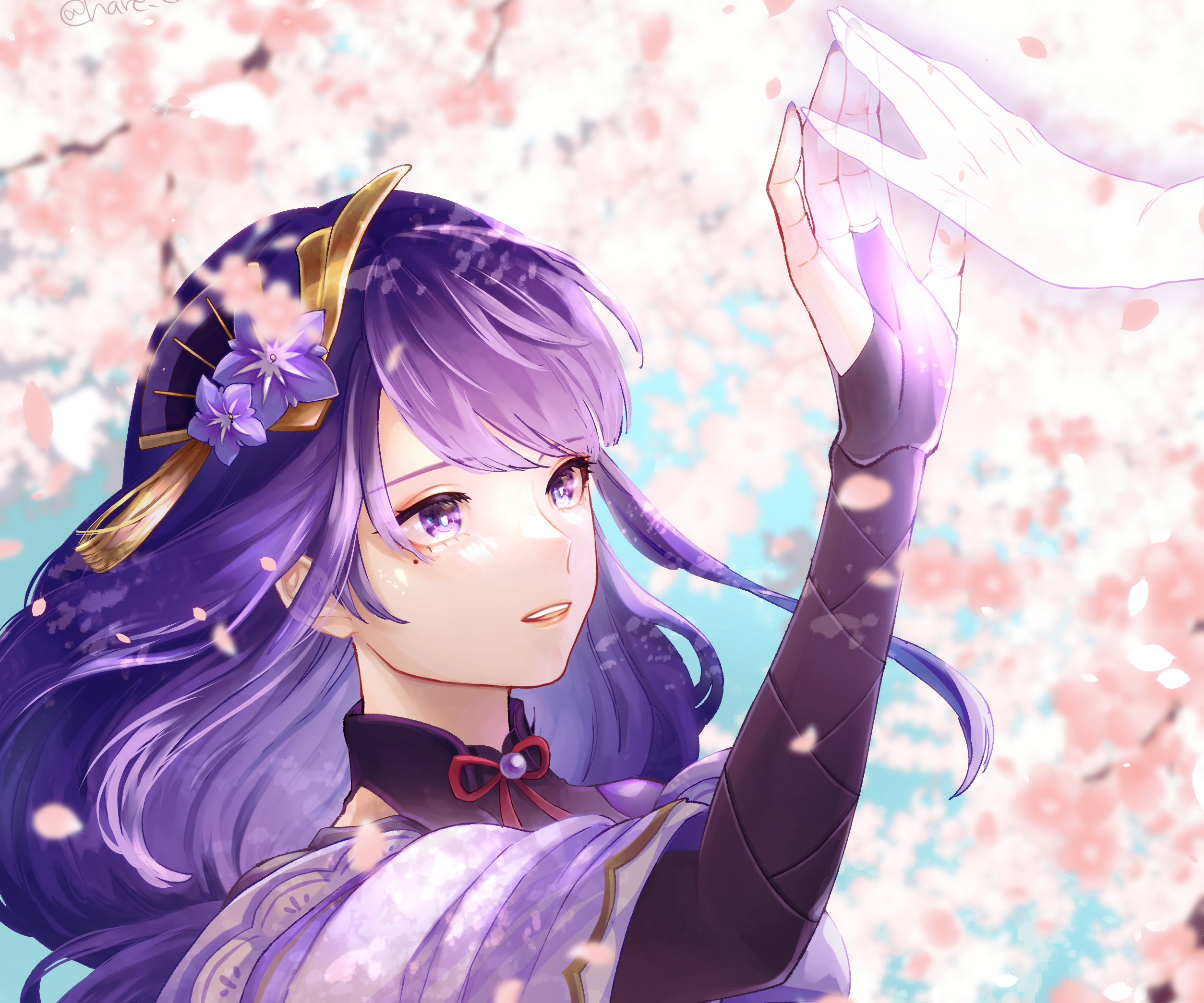 Raiden Shogun from Genshin Impact with cherry blossoms HD Wallpaper
